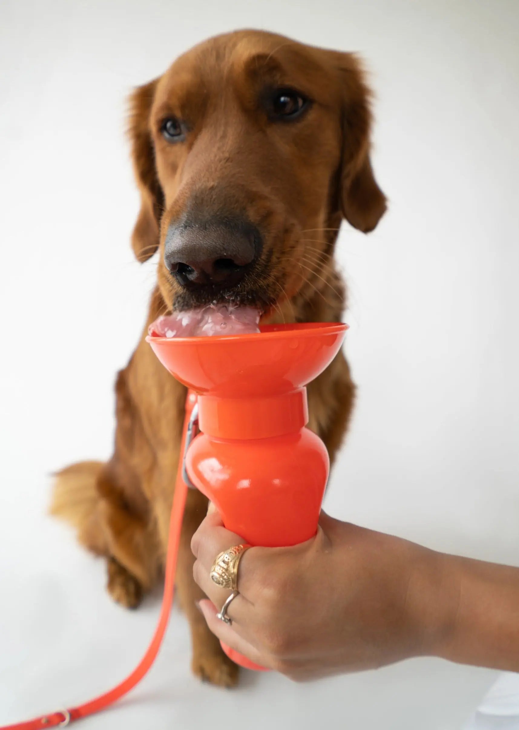 22oz Original Travel Dog Water Bottle