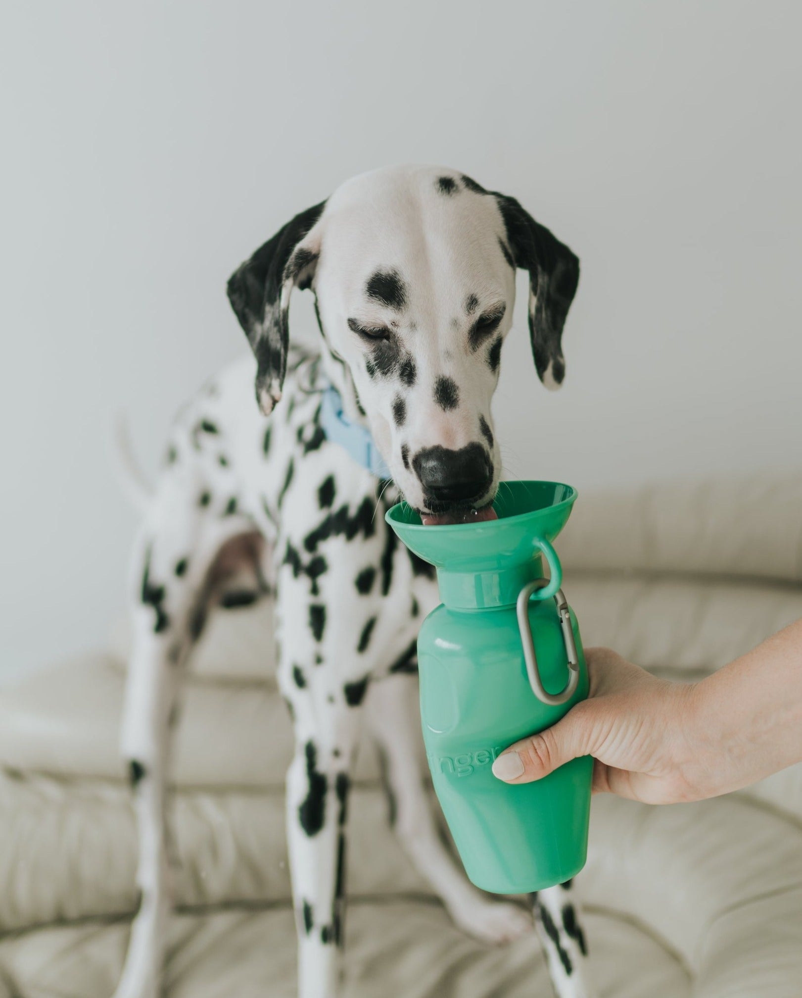 22oz Original Travel Dog Water Bottle