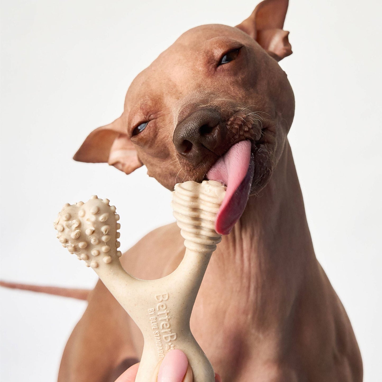 BetterBone SOFT Durability CHEW TOY: Natural Ingredients, Perfet for Teething Puppies, Senior Dogs & Gentle Chewers BetterBone All Natural Eco-Friendly Dog Chews & Bones