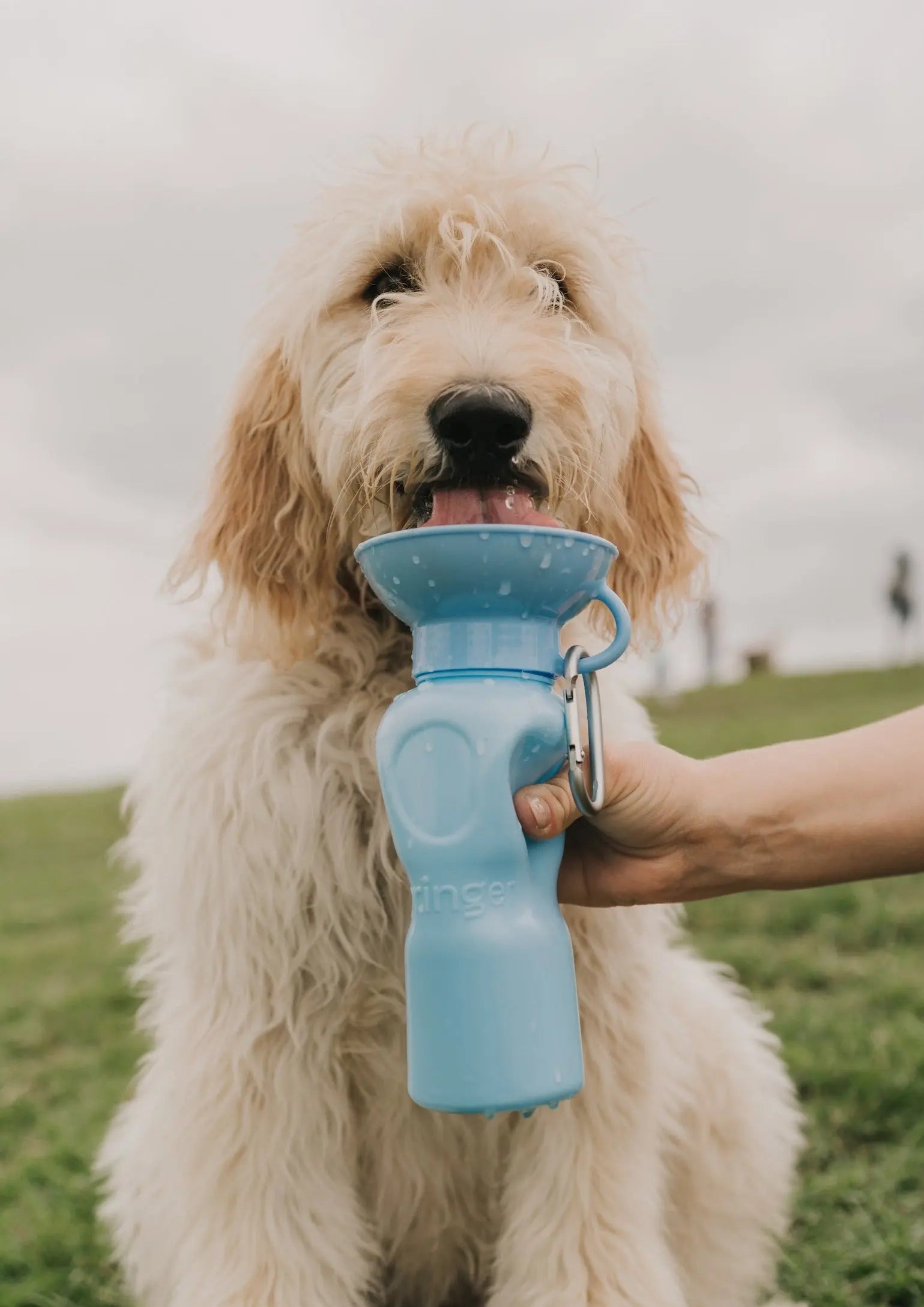 22oz Original Travel Dog Water Bottle