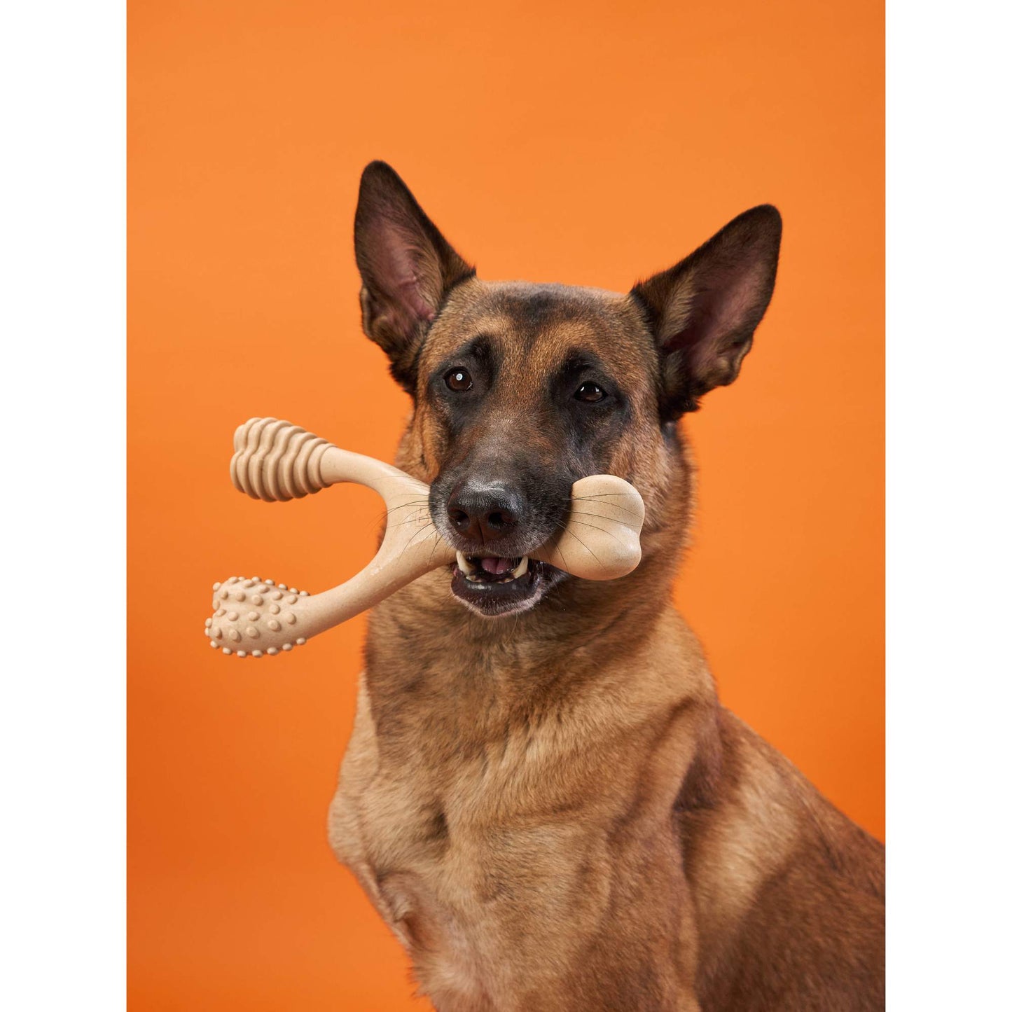 BetterBone HARD CHEW TOY: Natural Ingredients, eco-friendly, and ultra-durable chew for the toughest chewers! BetterBone All Natural Eco-Friendly Dog Chews & Bones
