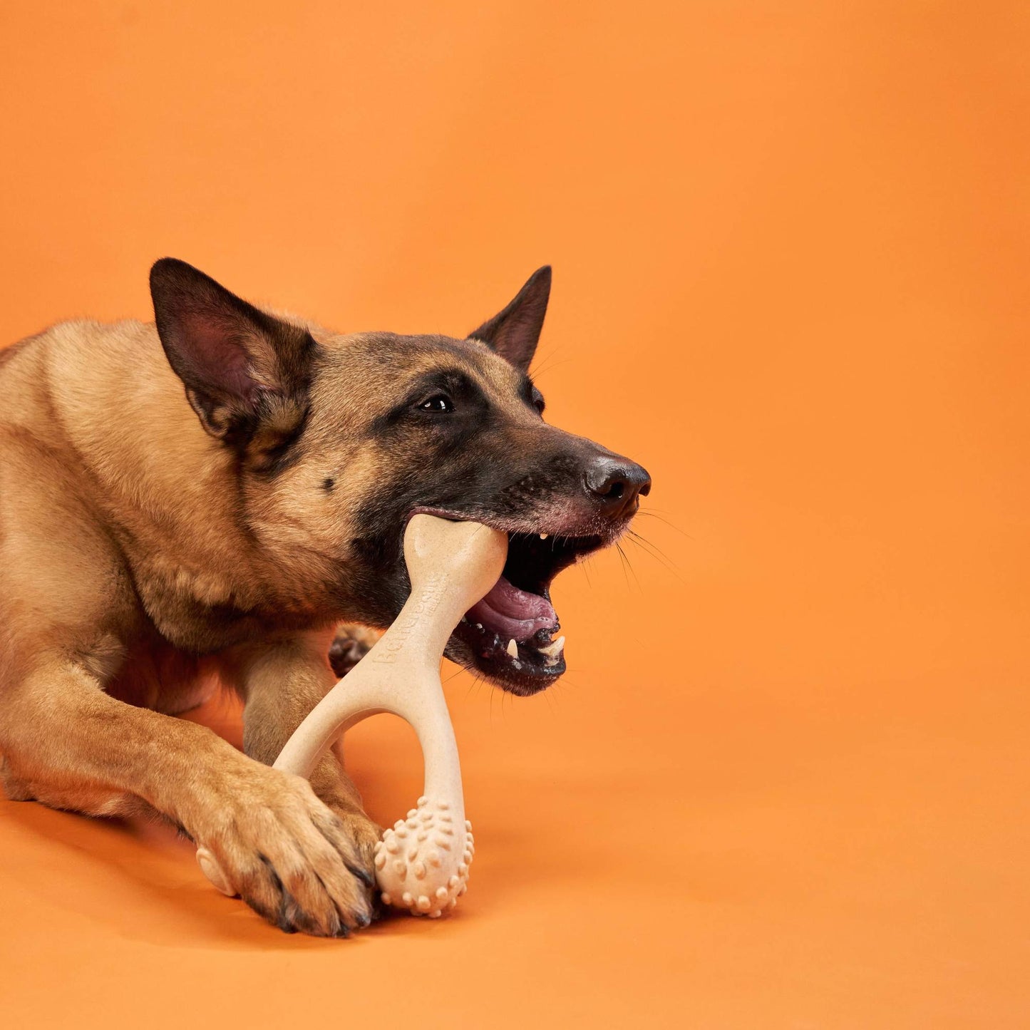 BetterBone HARD CHEW TOY: Natural Ingredients, eco-friendly, and ultra-durable chew for the toughest chewers! BetterBone All Natural Eco-Friendly Dog Chews & Bones
