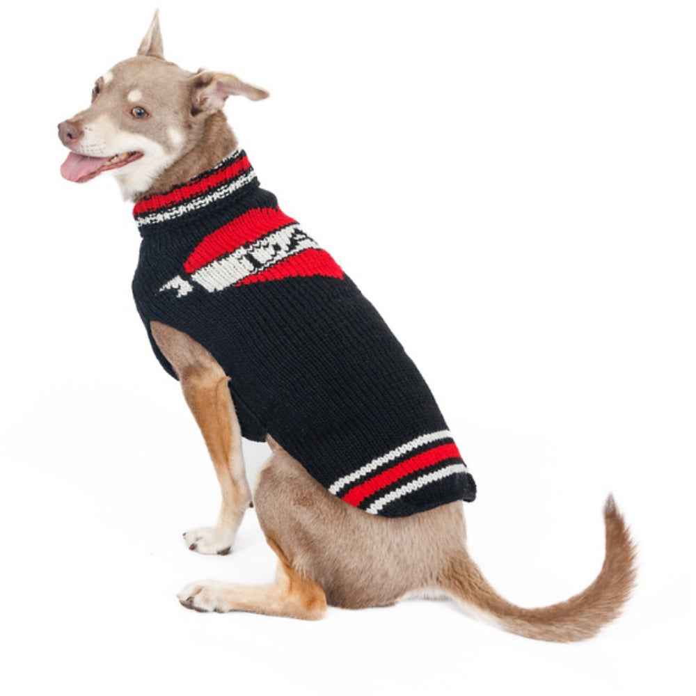 Dad Dog Sweater