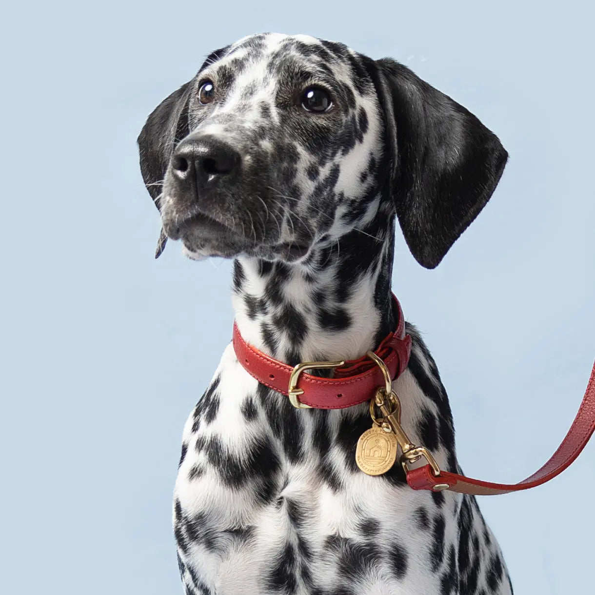 Mars Collar Ramona For You