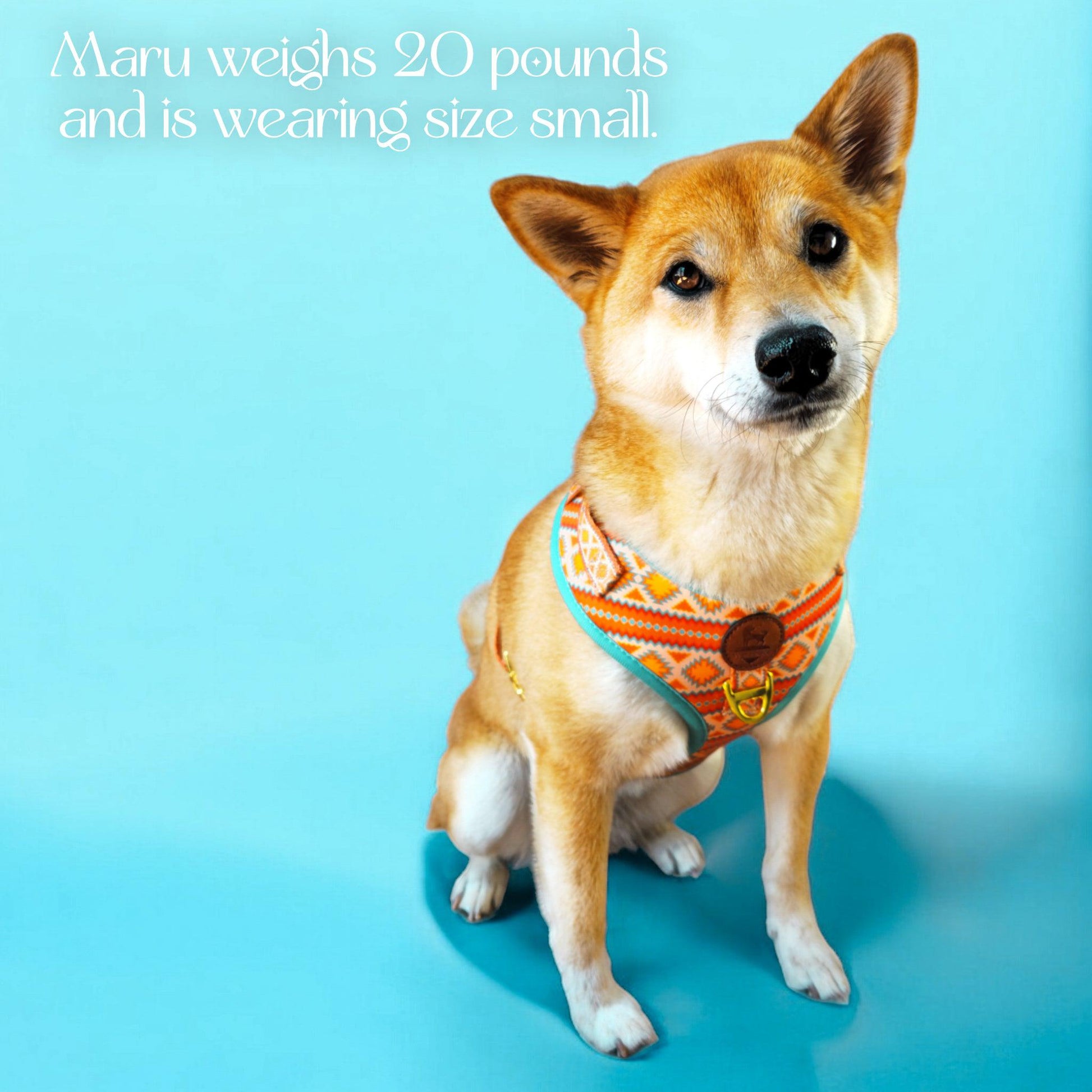 Desert Dream Harness WOLFDOGE