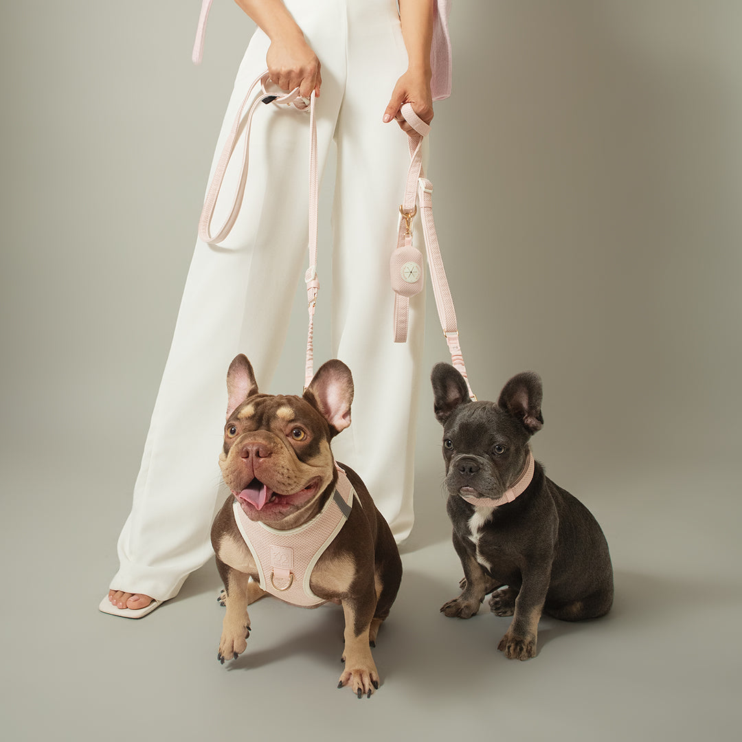 Poop Bag Holder - Madison