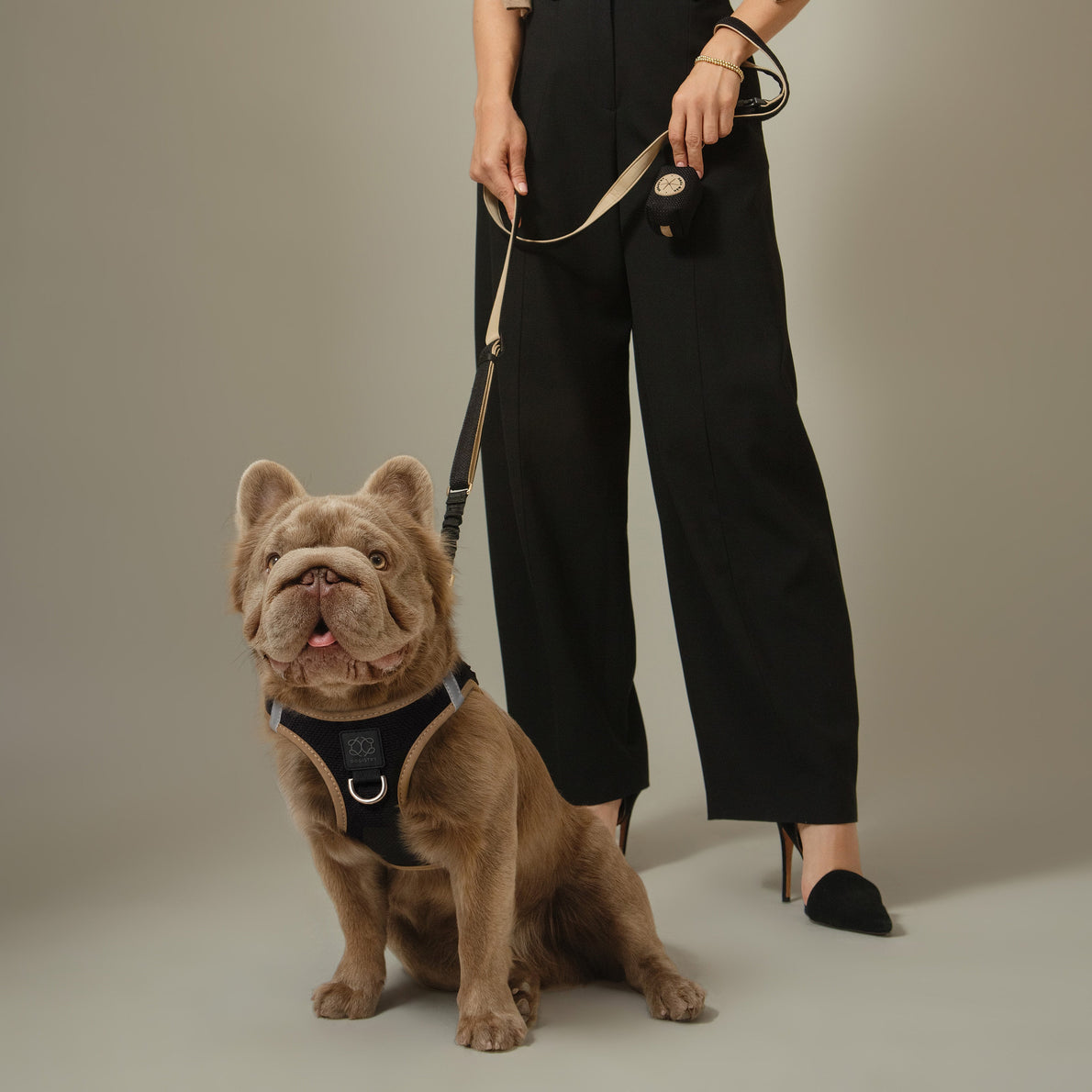SoHo Dog Harness - Crosby