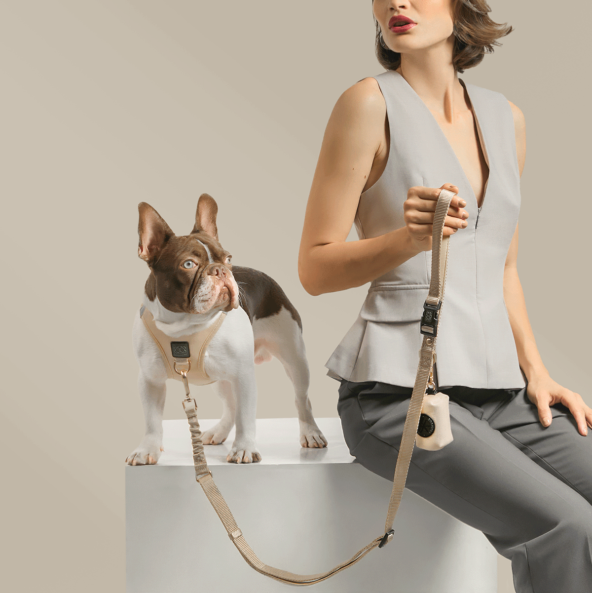 3-in-1 City Dog Leash - Dune