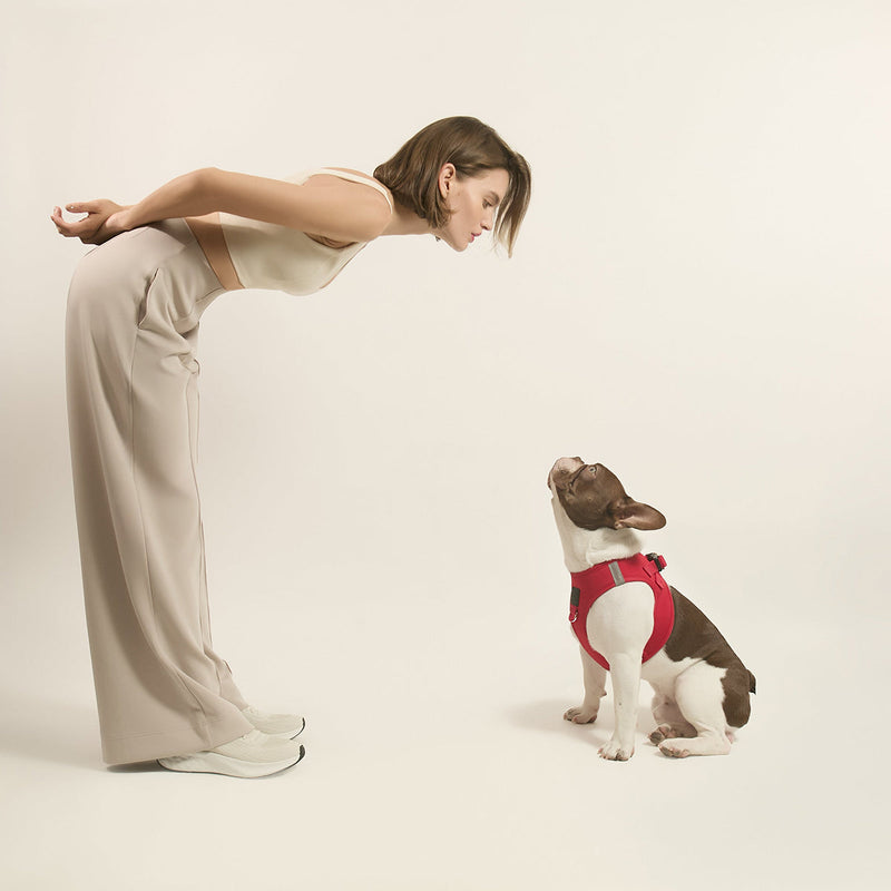 SoHo Dog Harness - Iconic Red