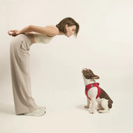 SoHo Dog Harness - Iconic Red