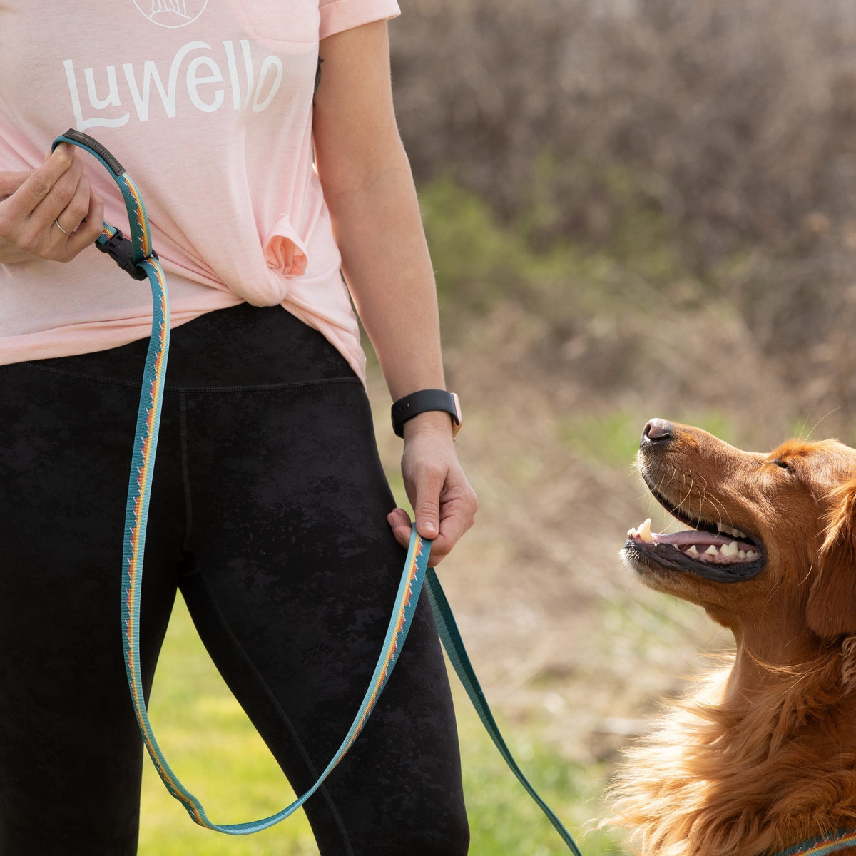 Adjustable Hands-Free Leash 1''