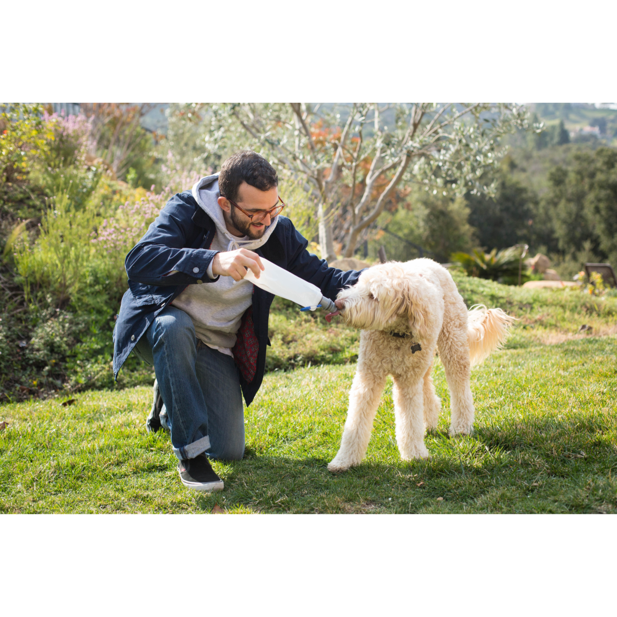 Vapur® EZ Lick™ Portable Dog Water Bottle