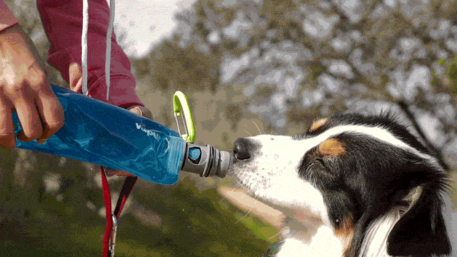 Vapur® EZ Lick™ Portable Dog Water Bottle K9 Sport Sack
