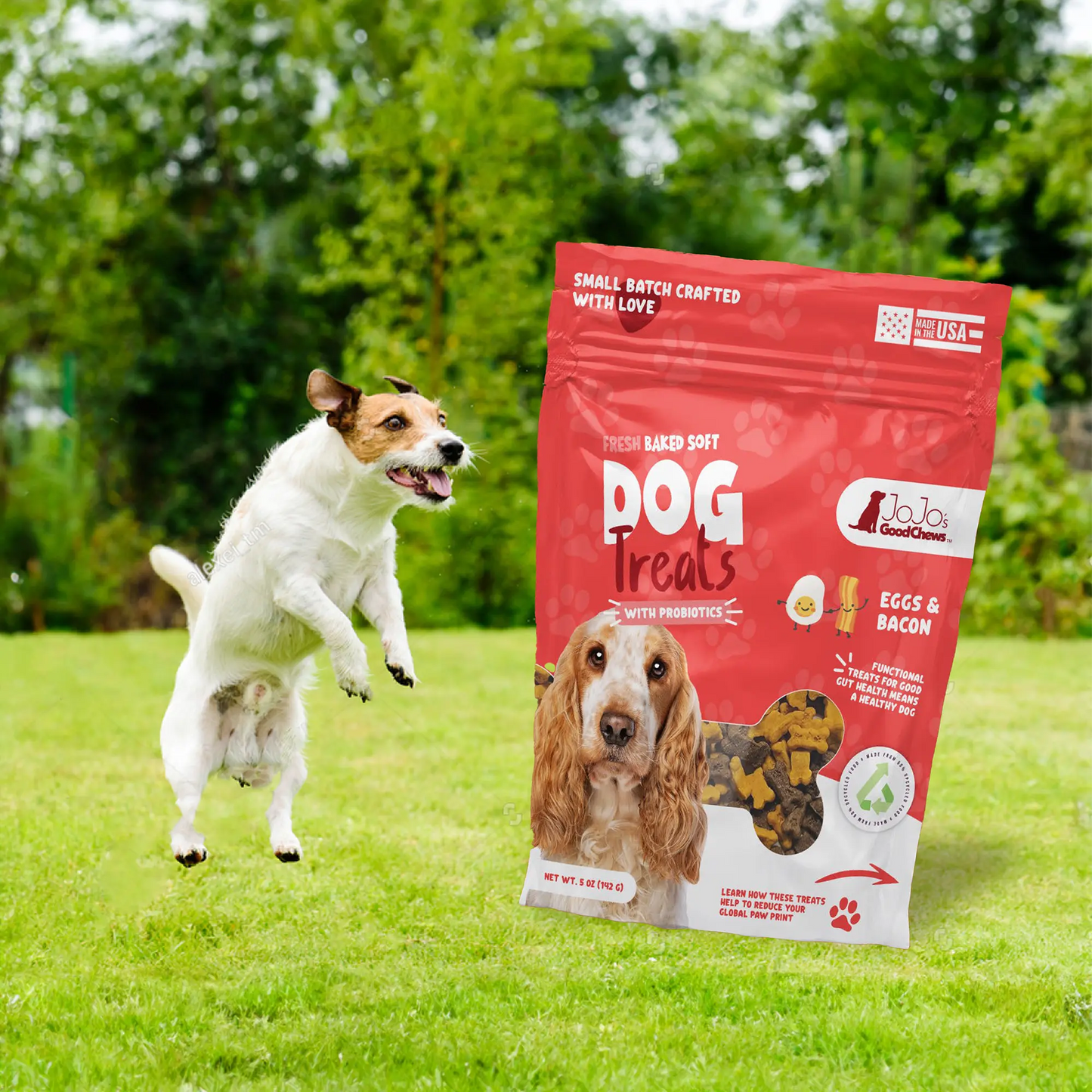 Fresh Baked Eggs and Bacon Soft Dog Chew Treats (2-Pack) American Pet Supplies
