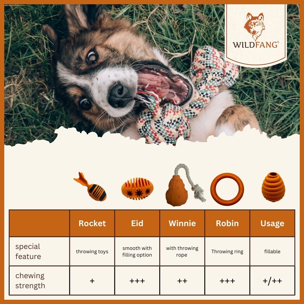 Rocket Natural Rubber Dog Toy – Squeaky Chew & Fetch Toy