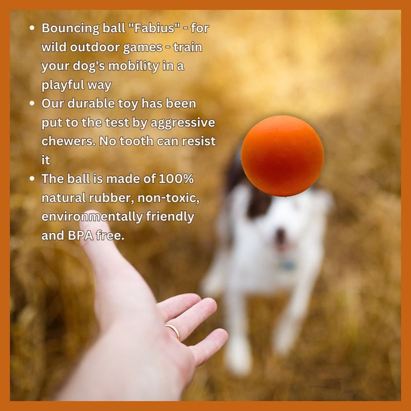 Fabius Natural Rubber Dog Ball – Bouncy Chew & Fetch Toy