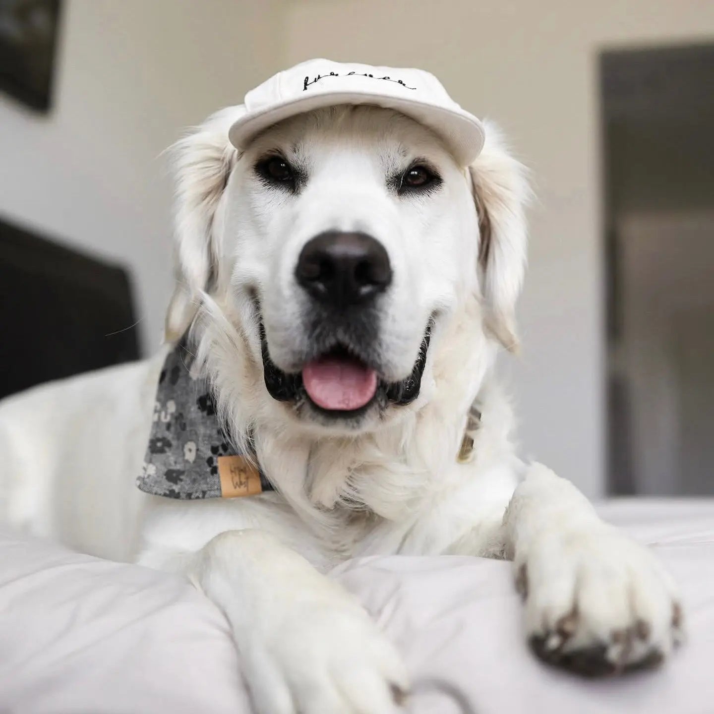 Fur Elise Furever Hat Bundle