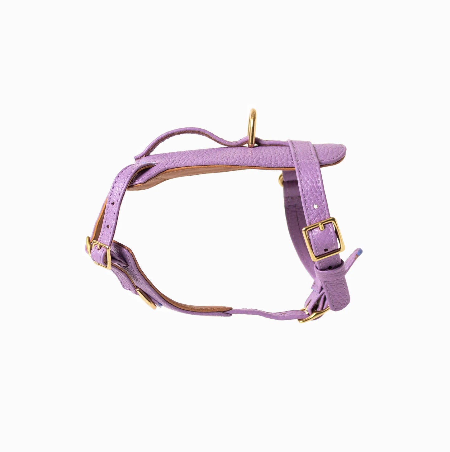 Fairy Heritage Harness Ramona For You
