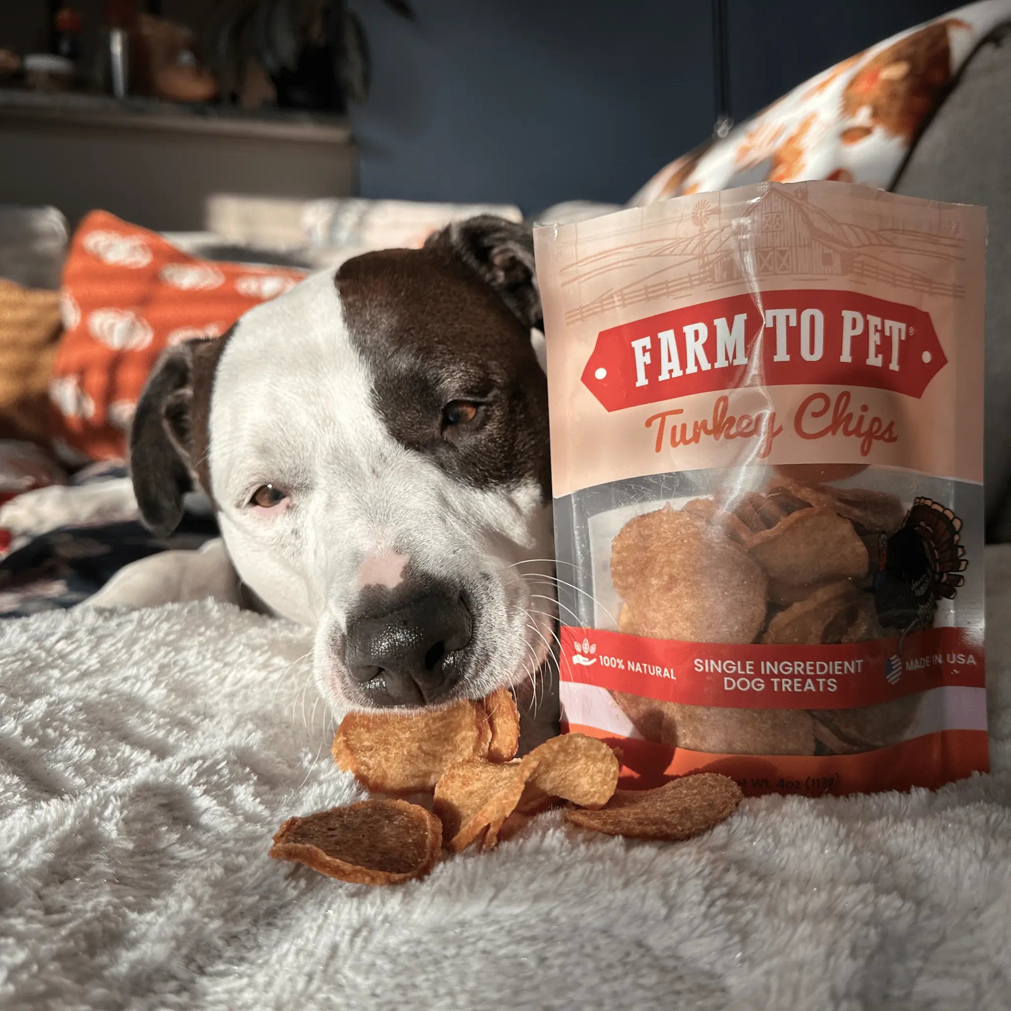 Turkey Chips for Dogs | All-Natural Single-Ingredient Healthy Dog Treats Farm To Pet