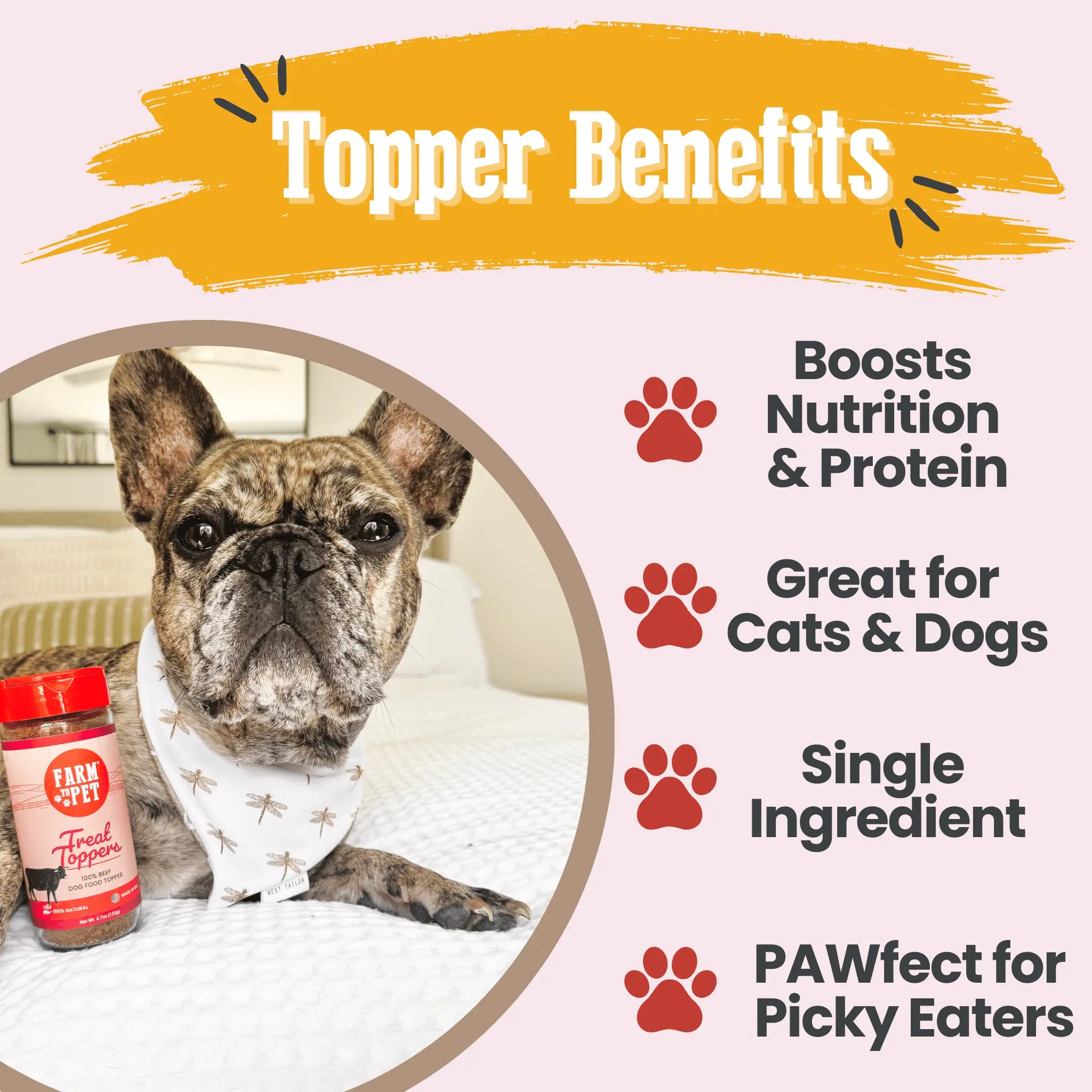 Treat Topper Beef Dog Food Topper | Powdered Meal Topper for Pets Farm To Pet