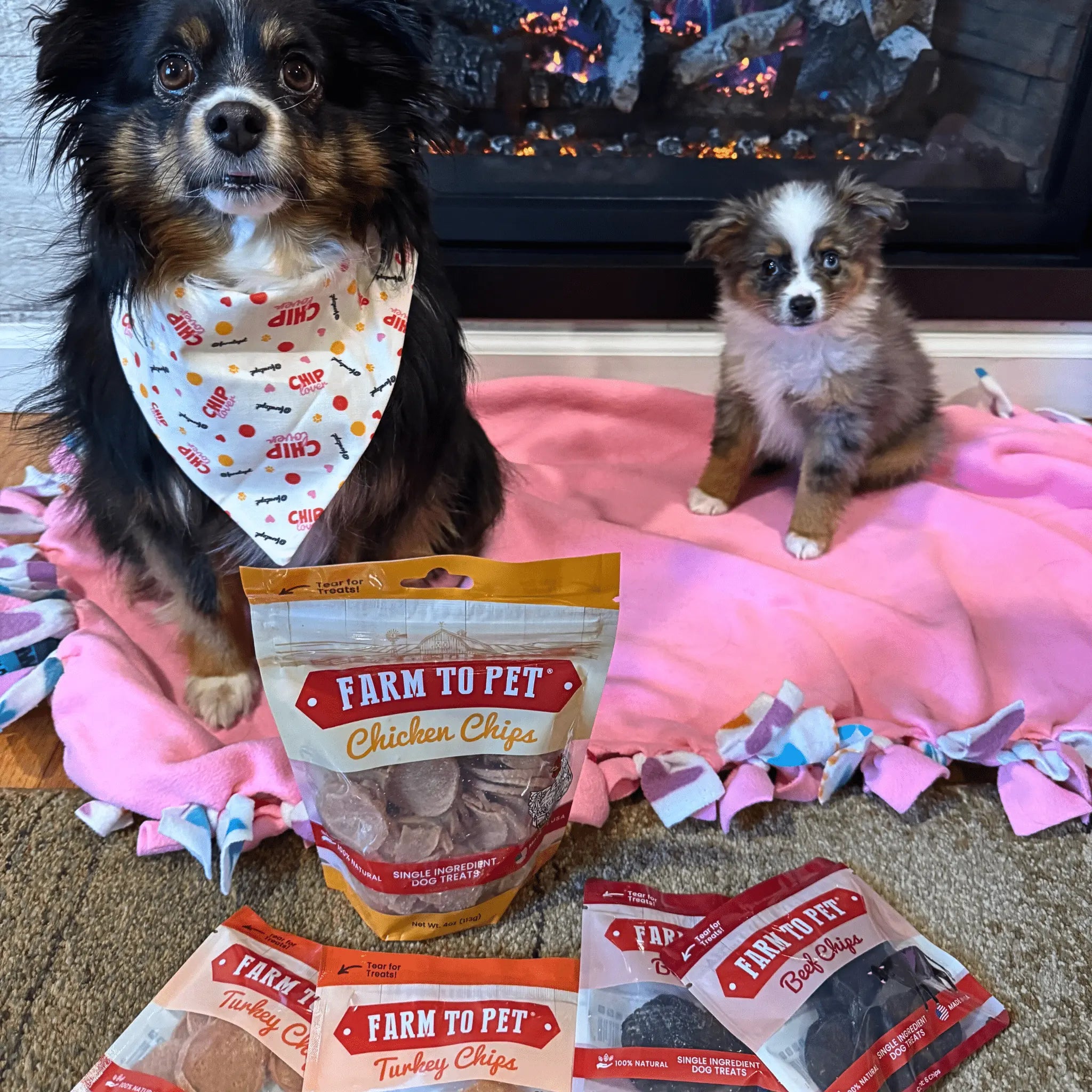 Puppy Packs 'n Snacks Dog Treat Starter Pack | Single-Ingredient Training Treats Farm To Pet