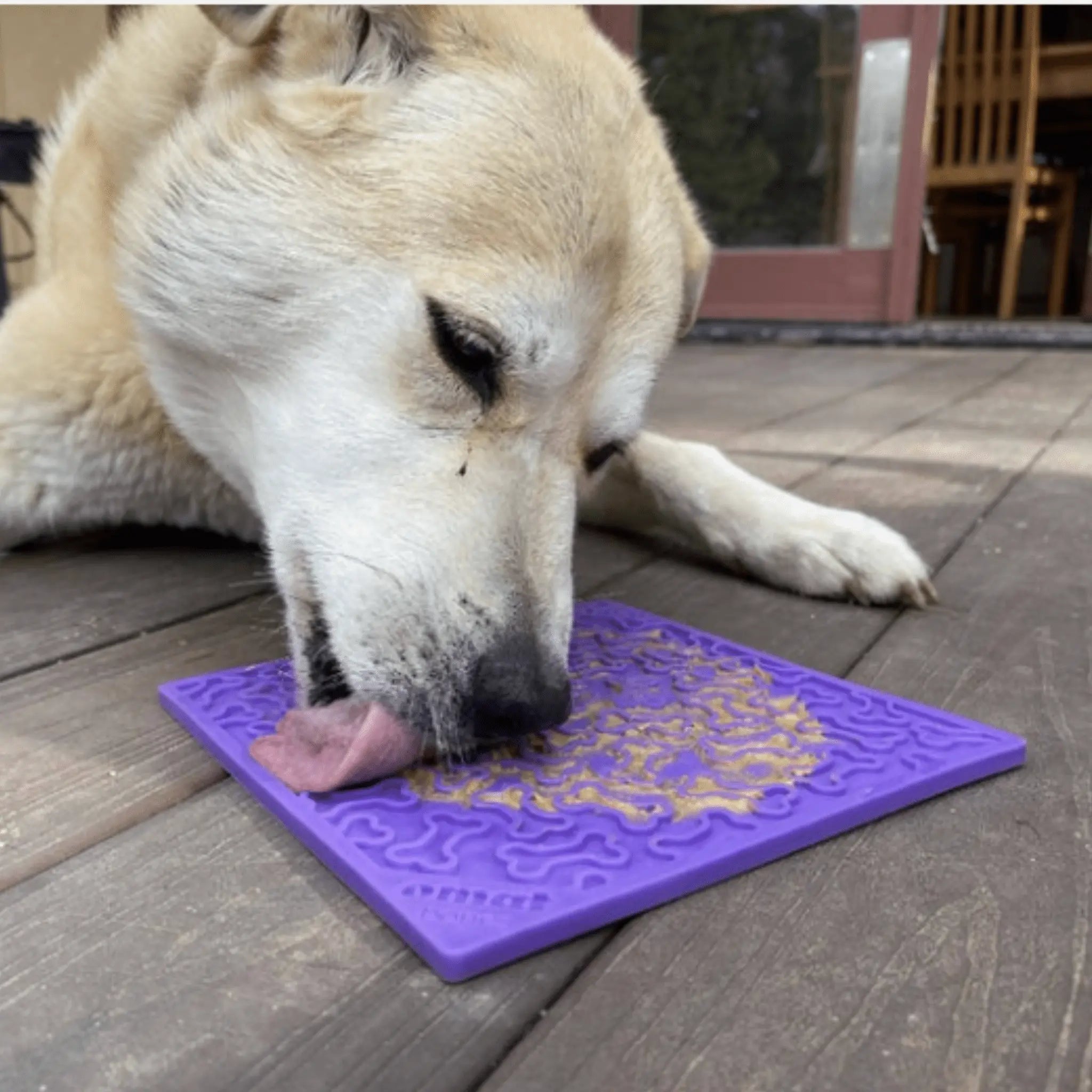 Dog Lick Mats Farm To Pet