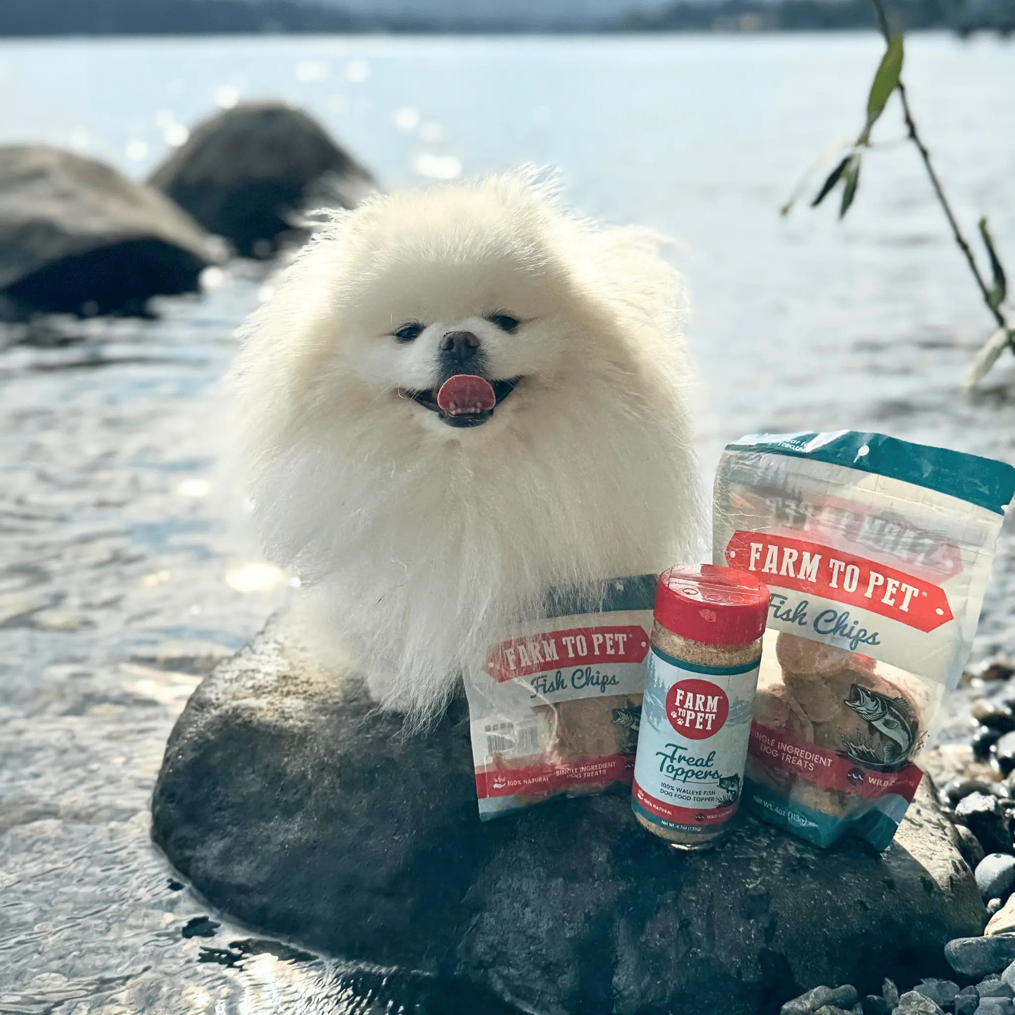 Treat Topper Fish Dog Food Topper | Low-Fat Meal Topper for Pets Farm To Pet