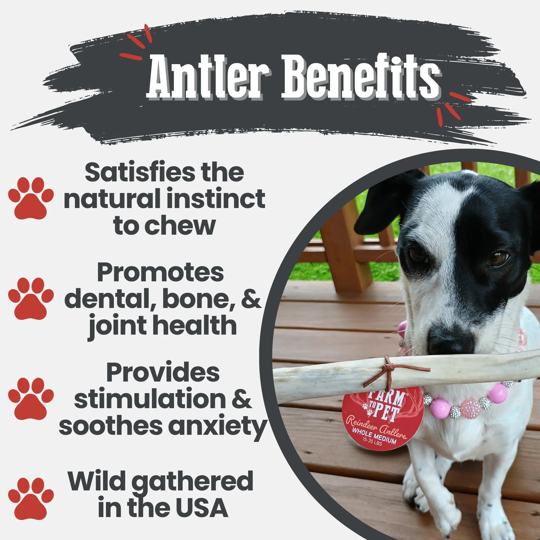 Reindeer Antler Dog Chews | Organic Chews for Dogs Farm To Pet