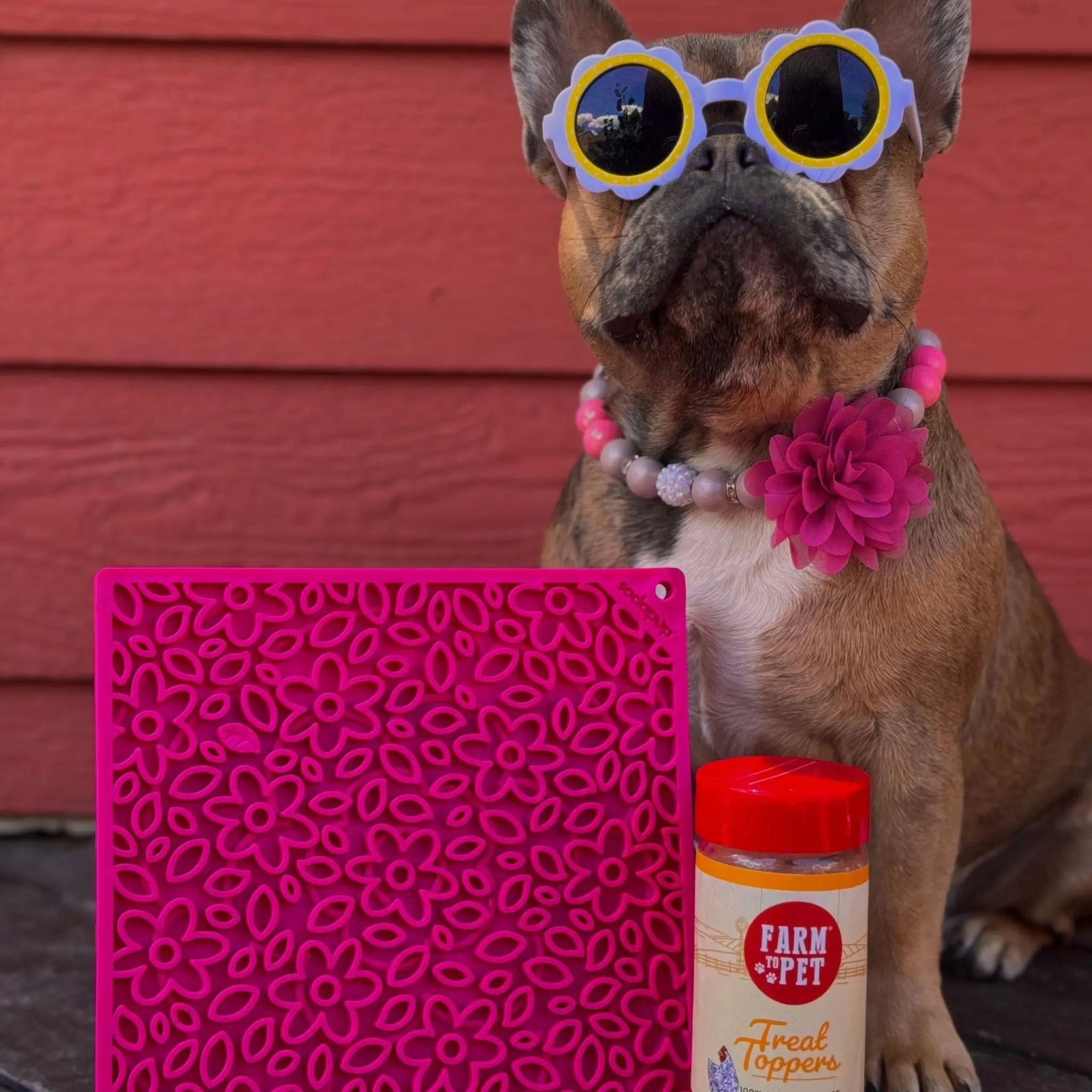 Dog Lick Mats Farm To Pet