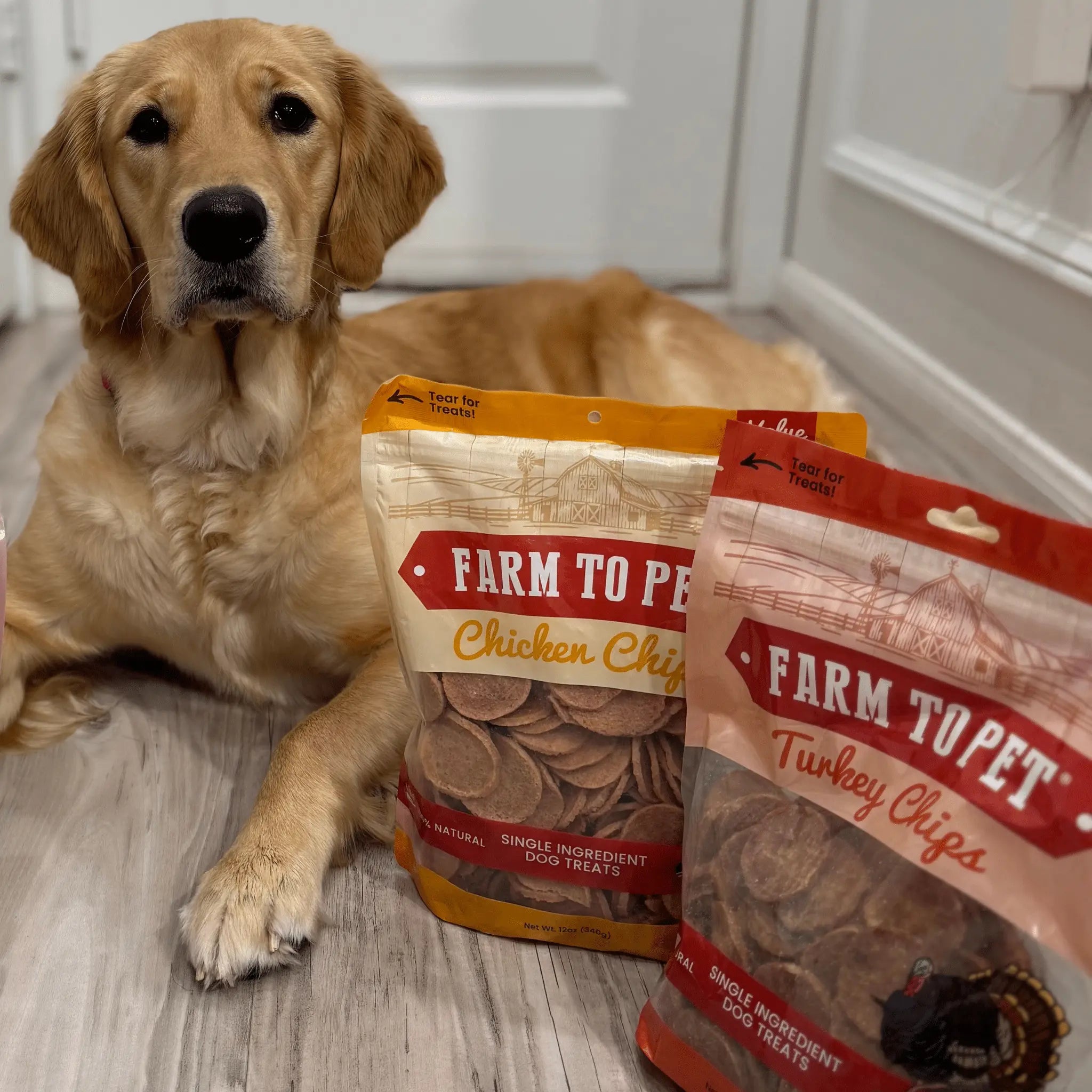 Turkey & Chicken Chip Dog Treat Duo | Single-Ingredient Poultry Treats for Dogs Farm To Pet