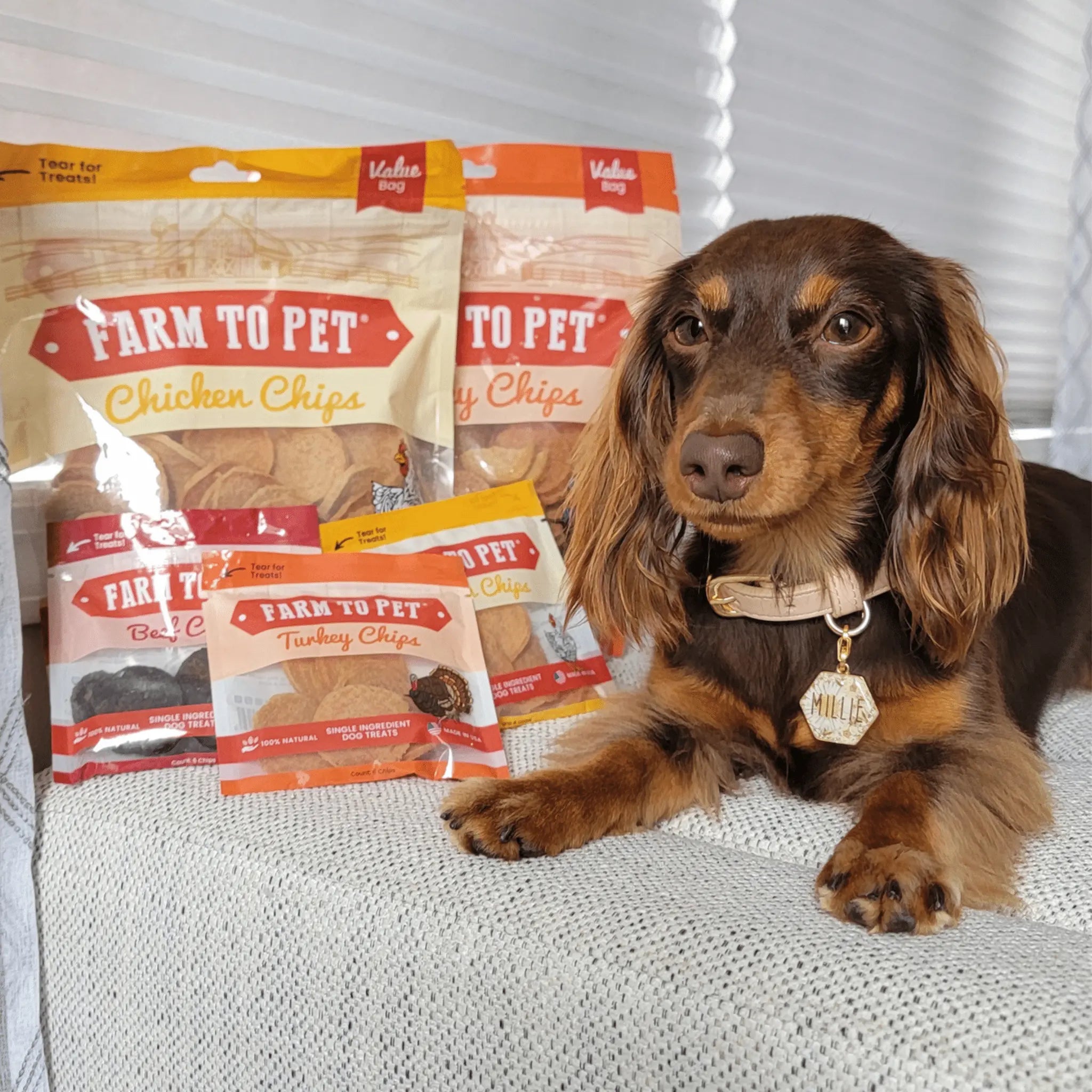 Turkey & Chicken Chip Dog Treat Duo | Single-Ingredient Poultry Treats for Dogs Farm To Pet