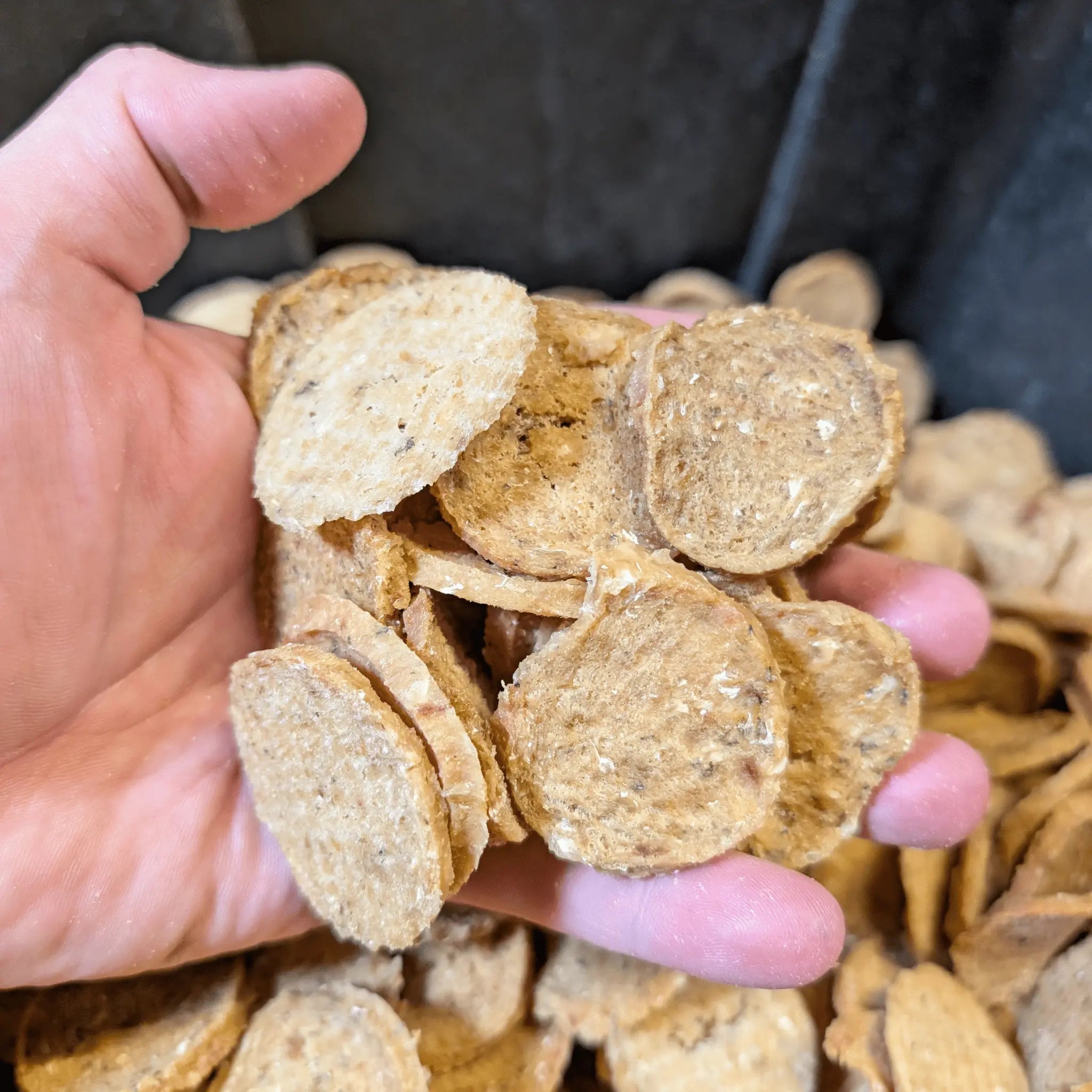 Fish Chips for Dogs | Wild-Caught Fish Dog Treats Farm To Pet