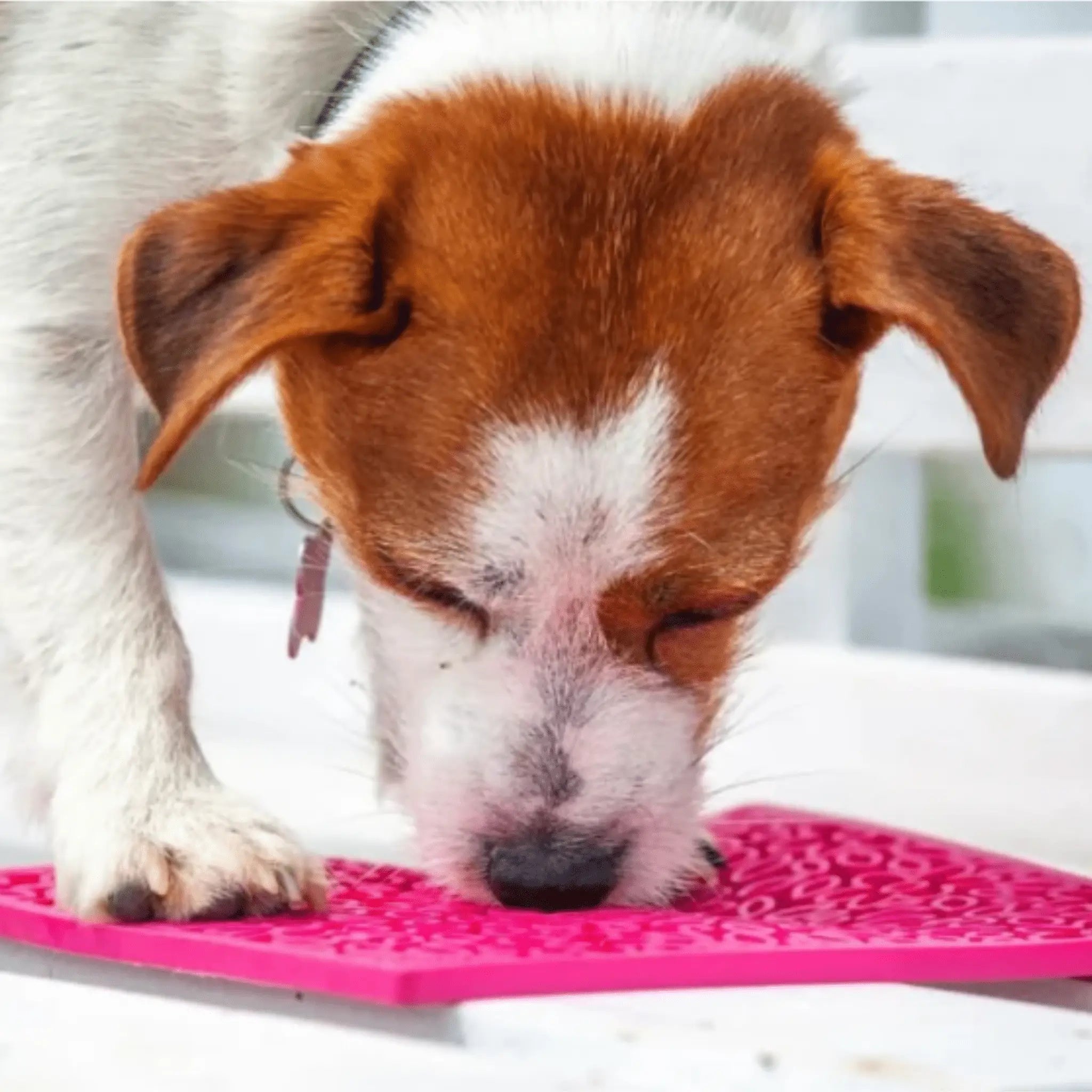 Lick Mats for Cats and Small Dogs Farm To Pet