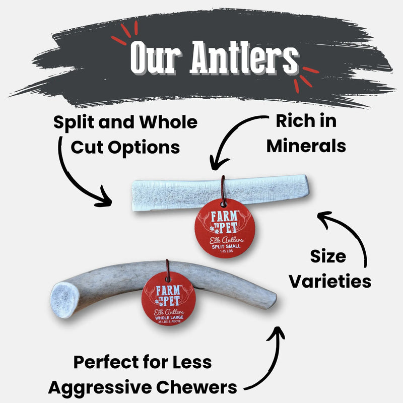 Elk Antler Dog Chews | All-Natural Whole and Split Elk Antler Chews for Dogs