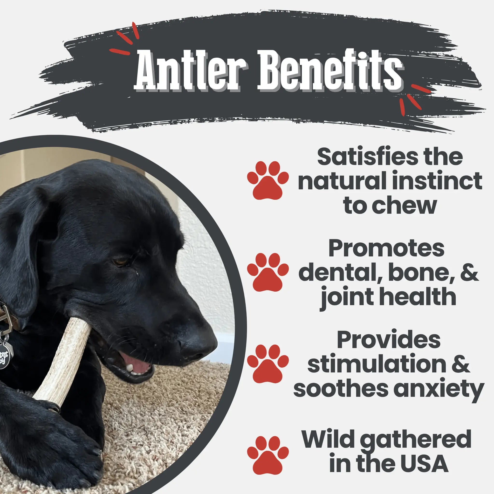 Elk Antler Dog Chews | All-Natural Whole and Split Elk Antler Chews for Dogs Farm To Pet