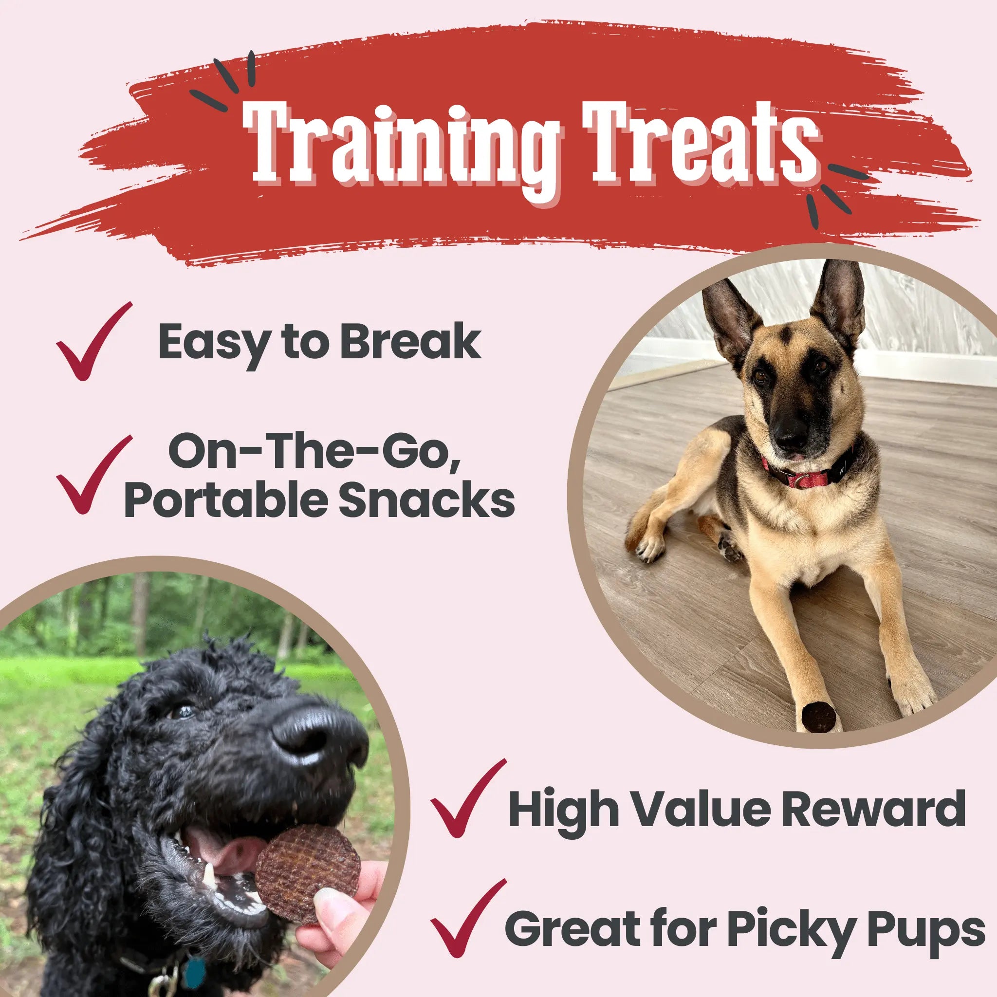 Beef Chips Dog Treats | Single-Ingredient Healthy Treats for Dogs Farm To Pet