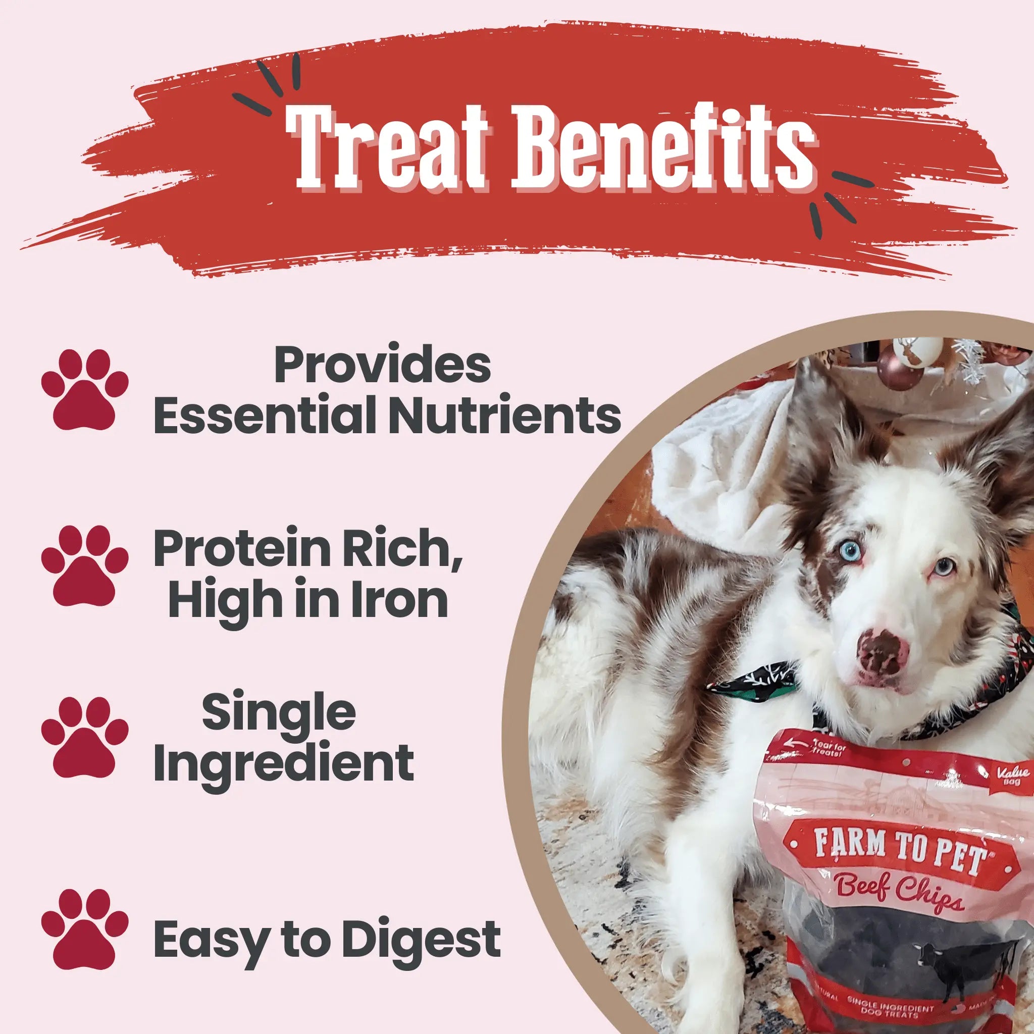 Beef Chips Dog Treats | Single-Ingredient Healthy Treats for Dogs Farm To Pet