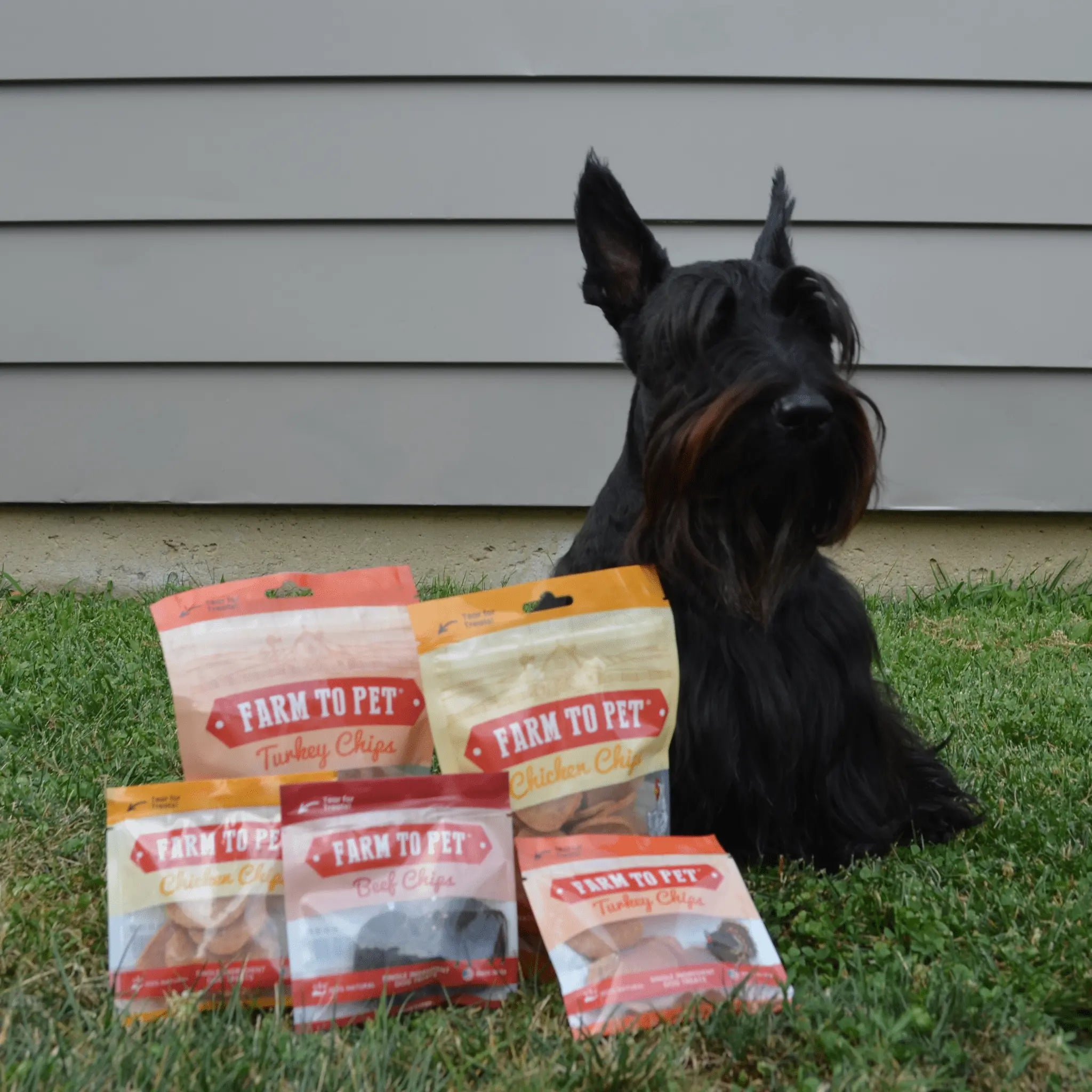Puppy Packs 'n Snacks Dog Treat Starter Pack | Single-Ingredient Training Treats Farm To Pet
