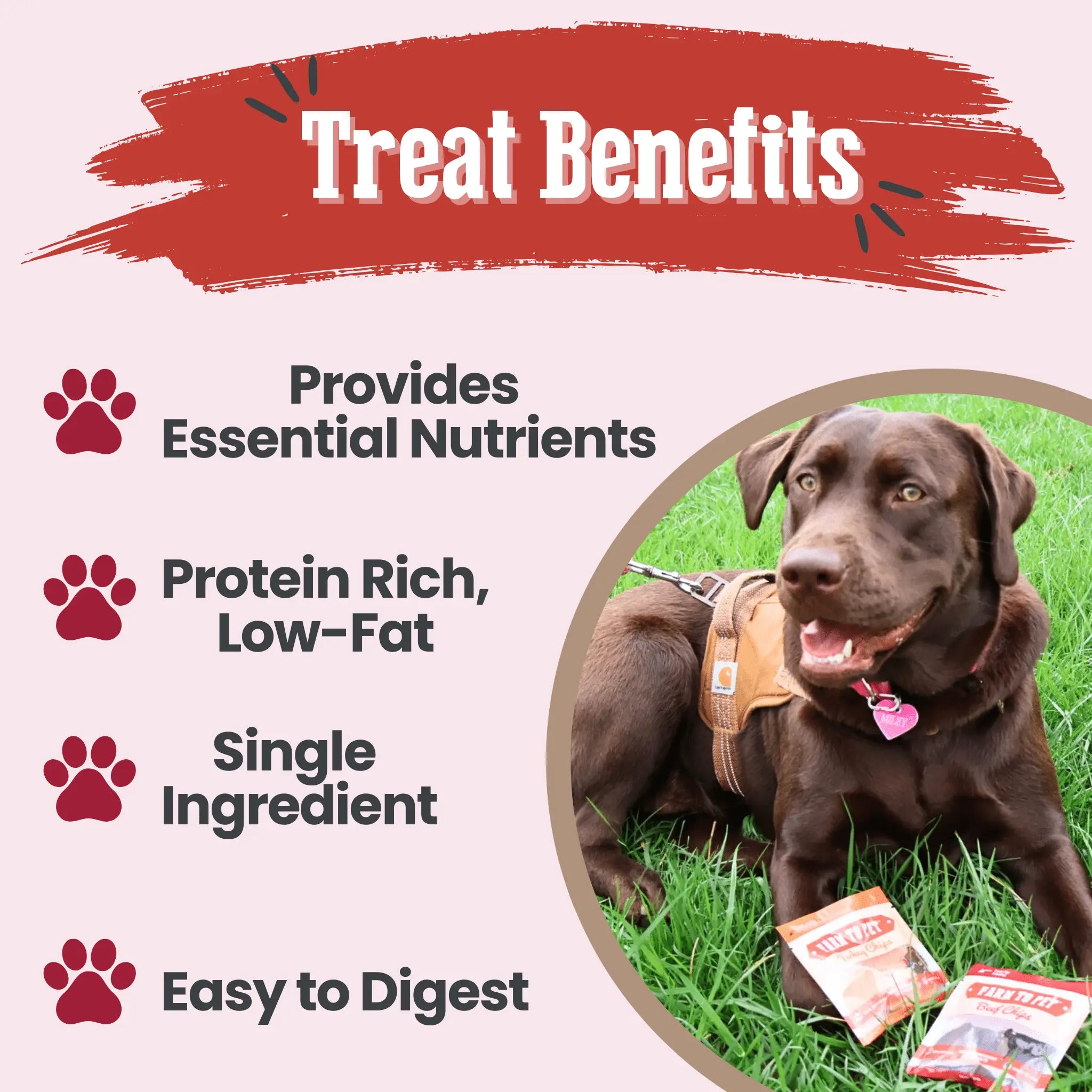 Puppy Packs 'n Snacks Dog Treat Starter Pack | Single-Ingredient Training Treats Farm To Pet