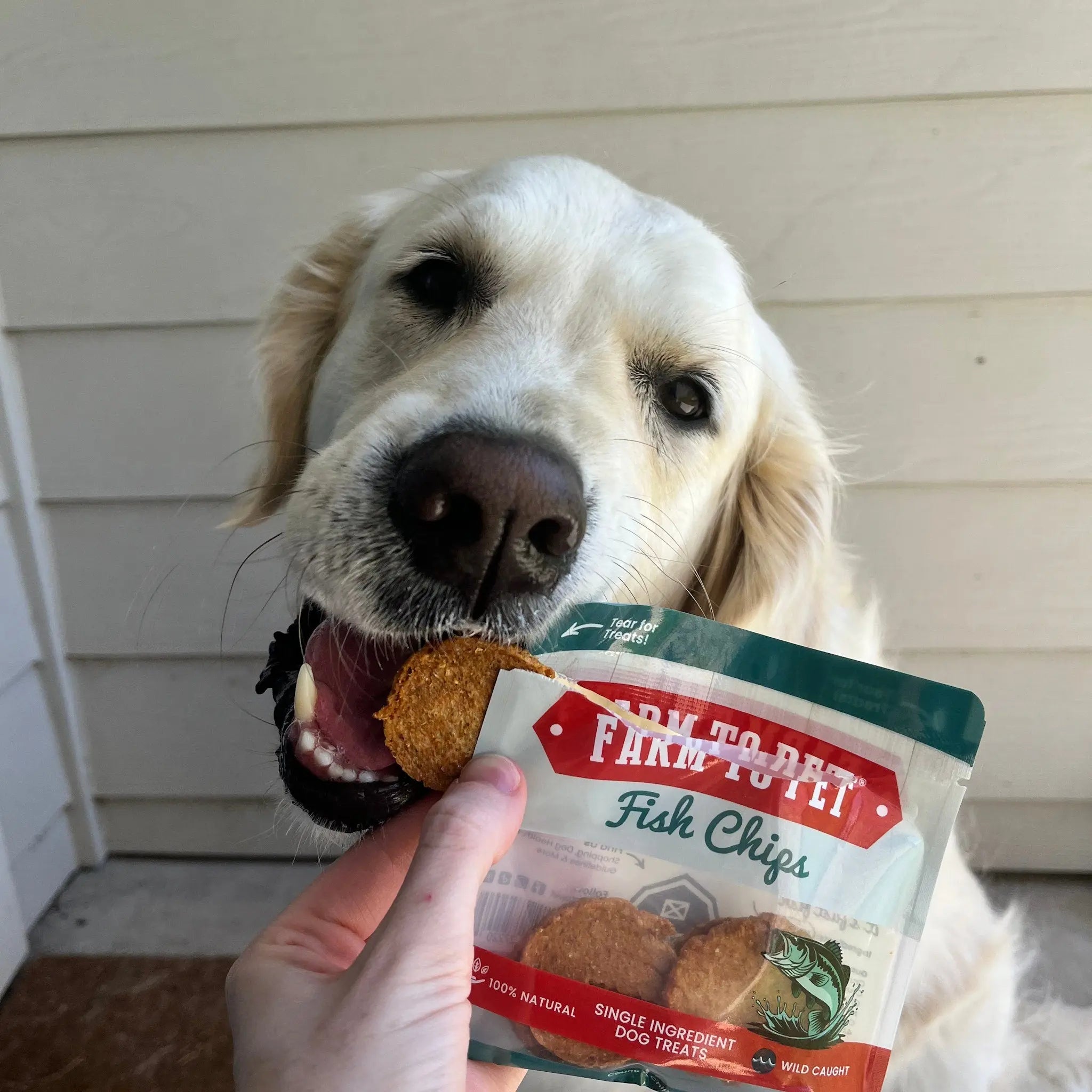 Snack Pack Dog Treat Sampler Farm To Pet