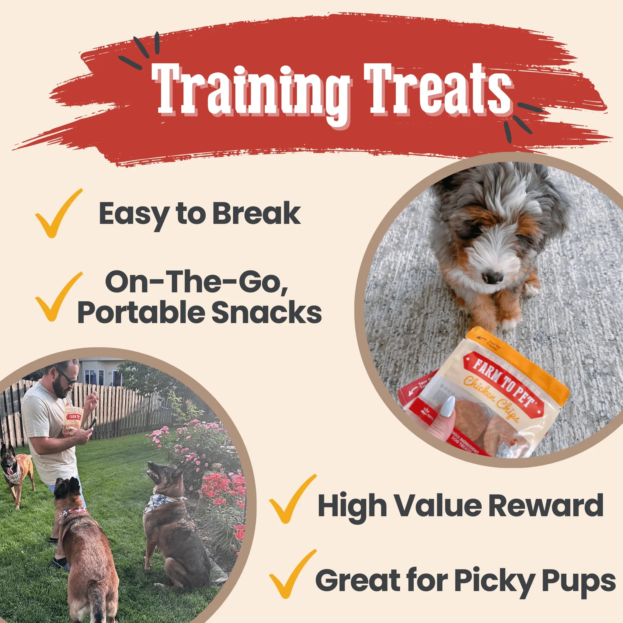 Snack Pack Dog Treat Sampler Farm To Pet