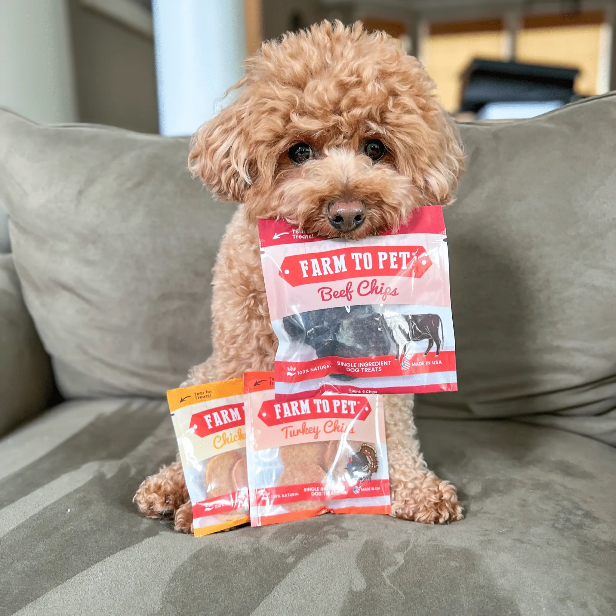 Snack Pack Dog Treat Sampler Farm To Pet