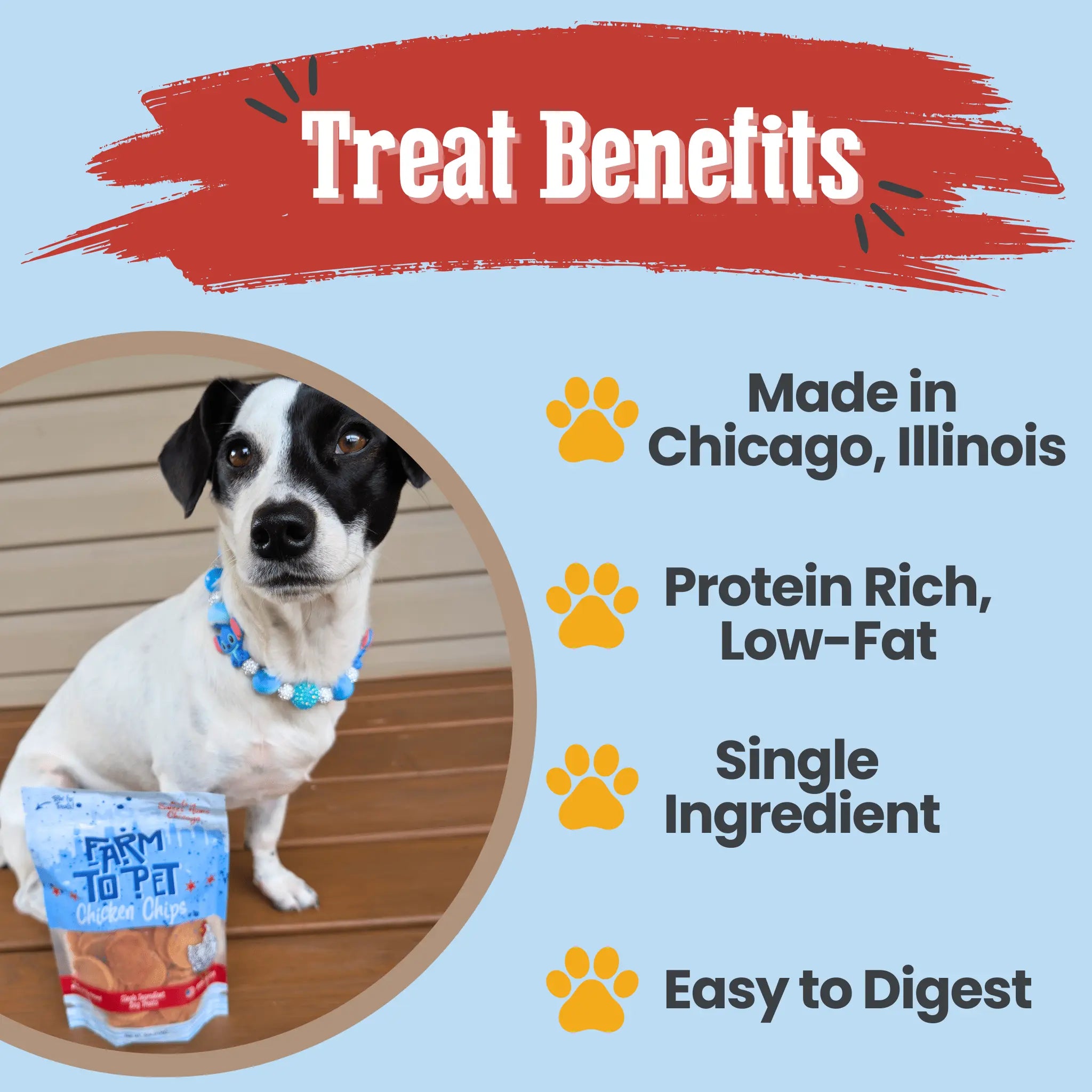 Chicago Chicken Chips for Dogs | Dog Treats To Celebrate Our Hometown Farm To Pet