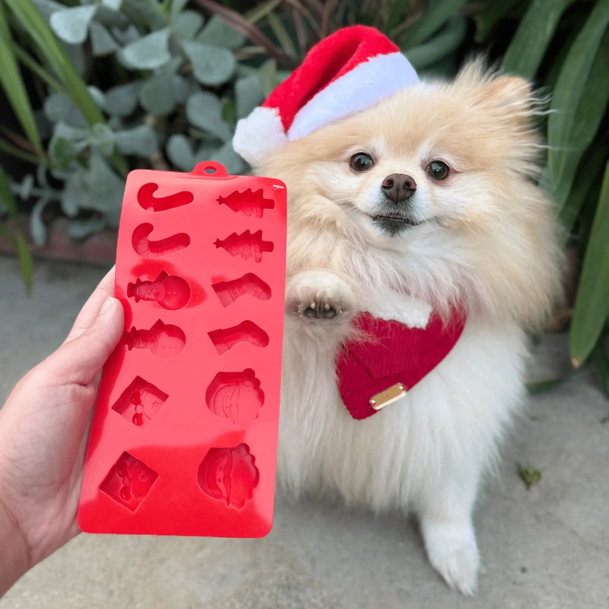 Pet Treat Molds Farm To Pet