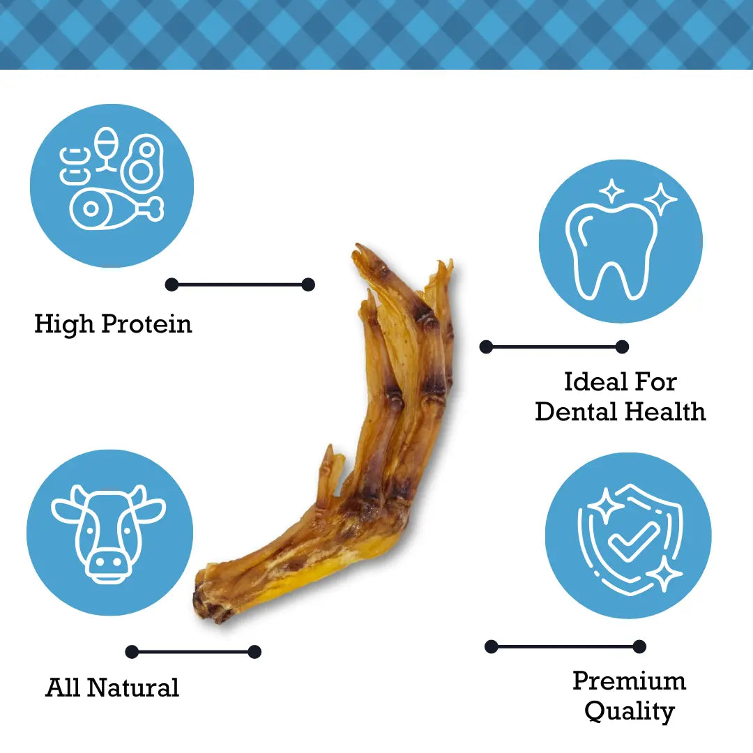 Country Living All-Natural Duck Feet Dog Treats – Crunchy, Long-Lasting Chews – (20-Pack) American Pet Supplies