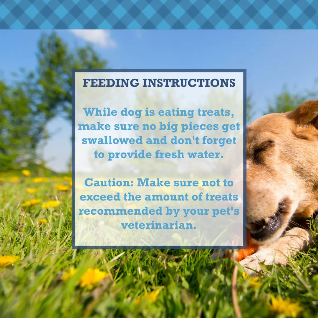 Country Living All-Natural Chicken Feet Dog Treats, Crunchy Snacks for Joint Support – (20-Pack) American Pet Supplies