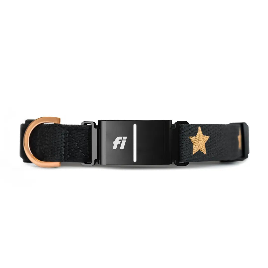 The DOGISTRY x Fi Rockstar 3+ Collar Band Dogistry™