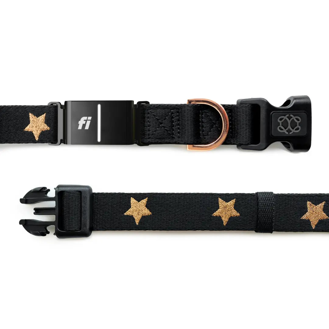 The DOGISTRY x Fi Rockstar 3+ Collar Band Dogistry™