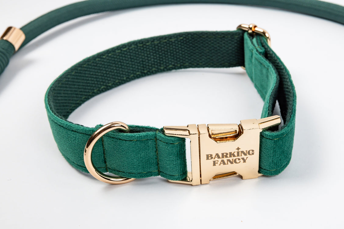 Signature Velvet Collar - Fir