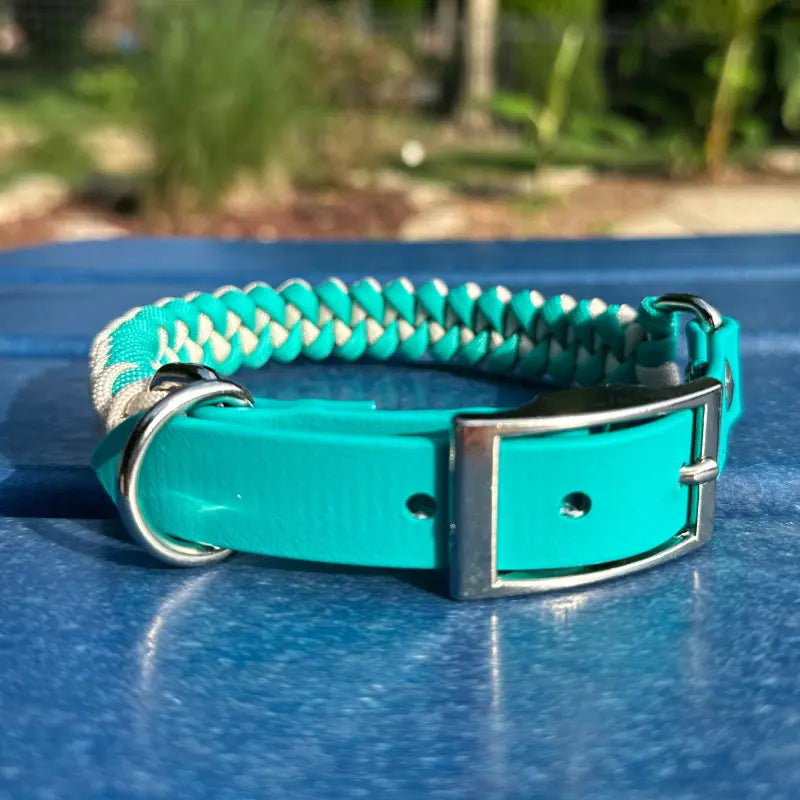 Fishtail Hand Braided Dog Collar in Teal & Cream